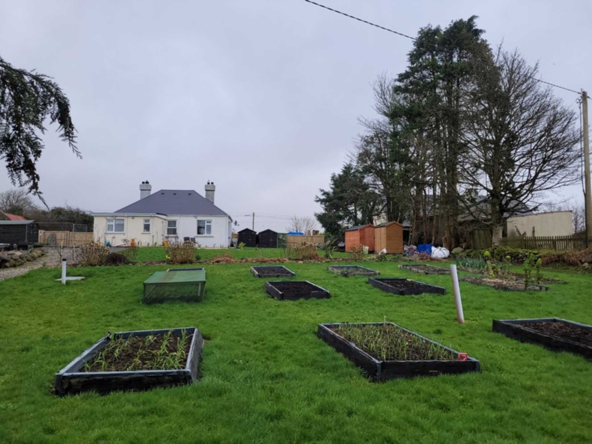 Killadangan, Ballaghaderreen, Co. Roscommon F45 EW60  Killadangan, Ballaghaderreen, Co. Roscommon F45 EW60