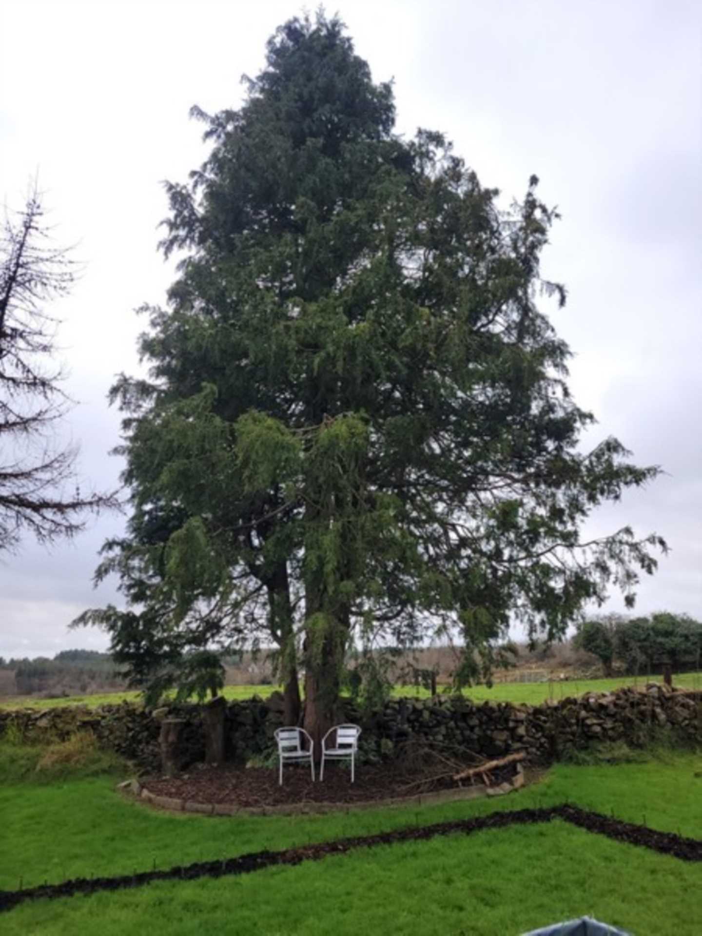 Killadangan, Ballaghaderreen, Co. Roscommon F45 EW60  Killadangan, Ballaghaderreen, Co. Roscommon F45 EW60