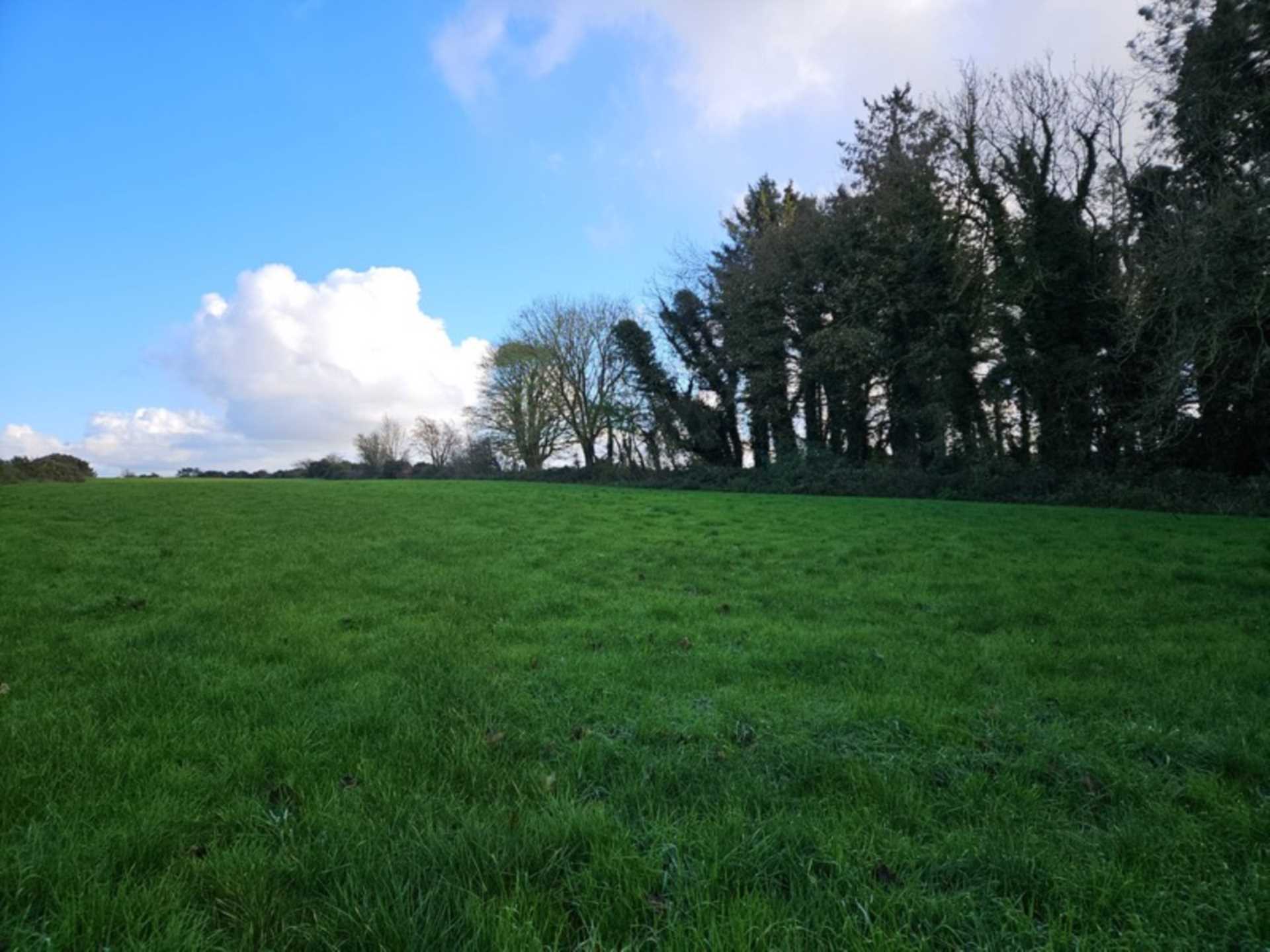 Leitra, Glenamaddy, Co. Galway F45 XE10  Leitra, Glenamaddy, Co. Galway F45 XE10