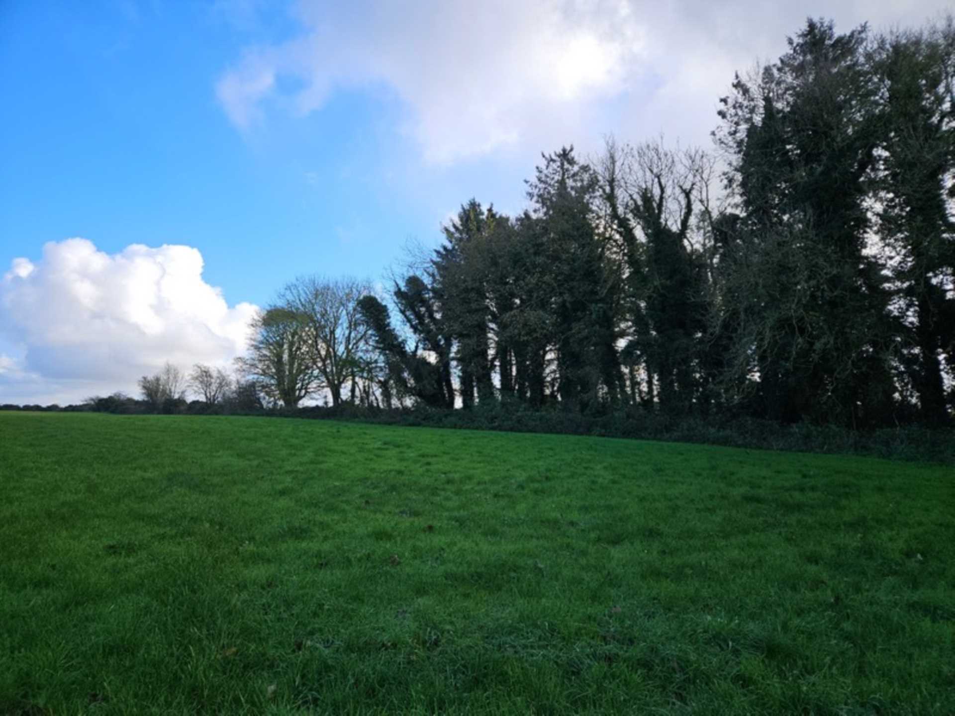 Leitra, Glenamaddy, Co. Galway F45 XE10  Leitra, Glenamaddy, Co. Galway F45 XE10
