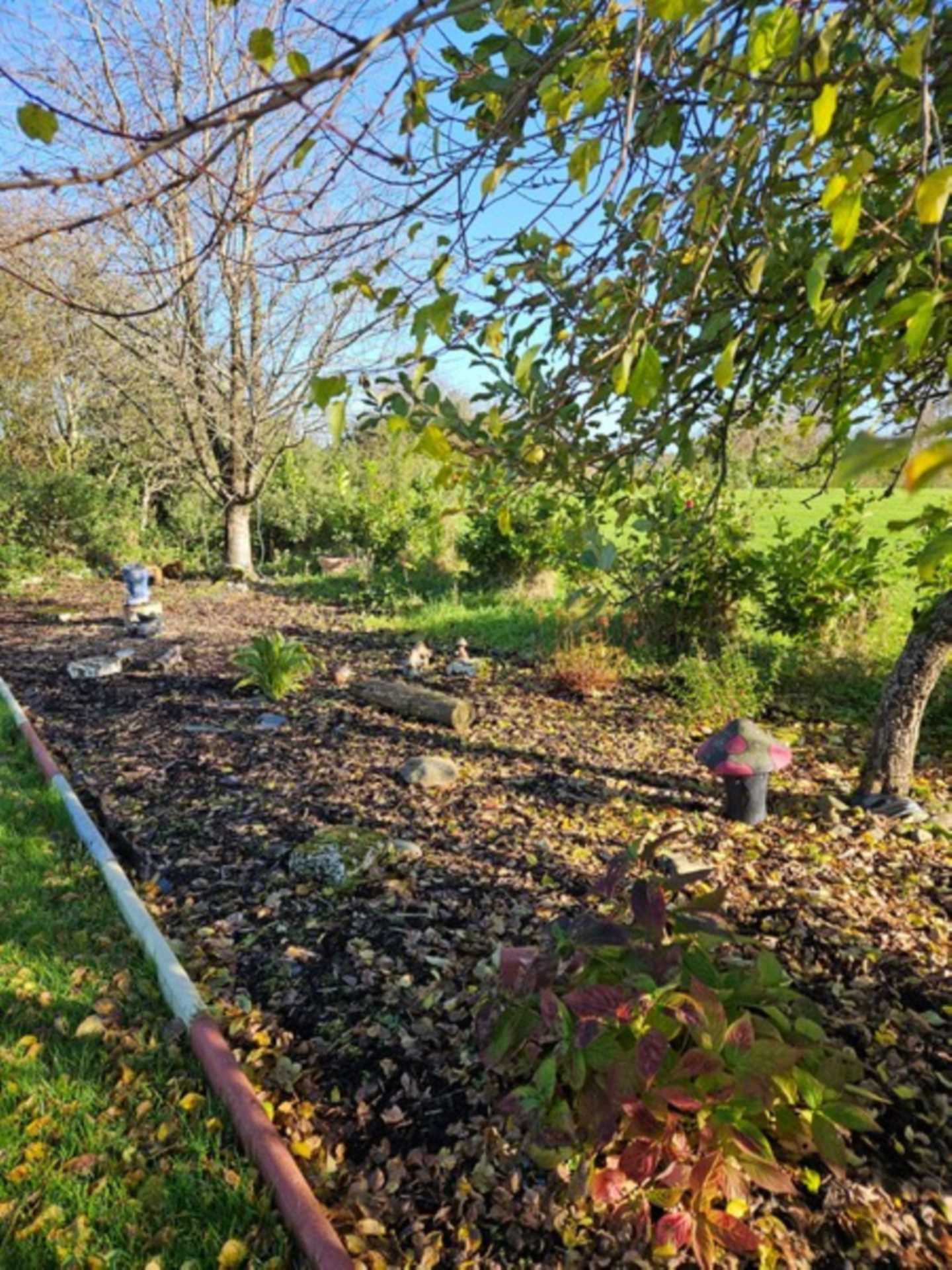 Lisquell East, Ballygar, Co. Galway F42 KP60  Lisquell East, Ballygar, Co. Galway F42 KP60