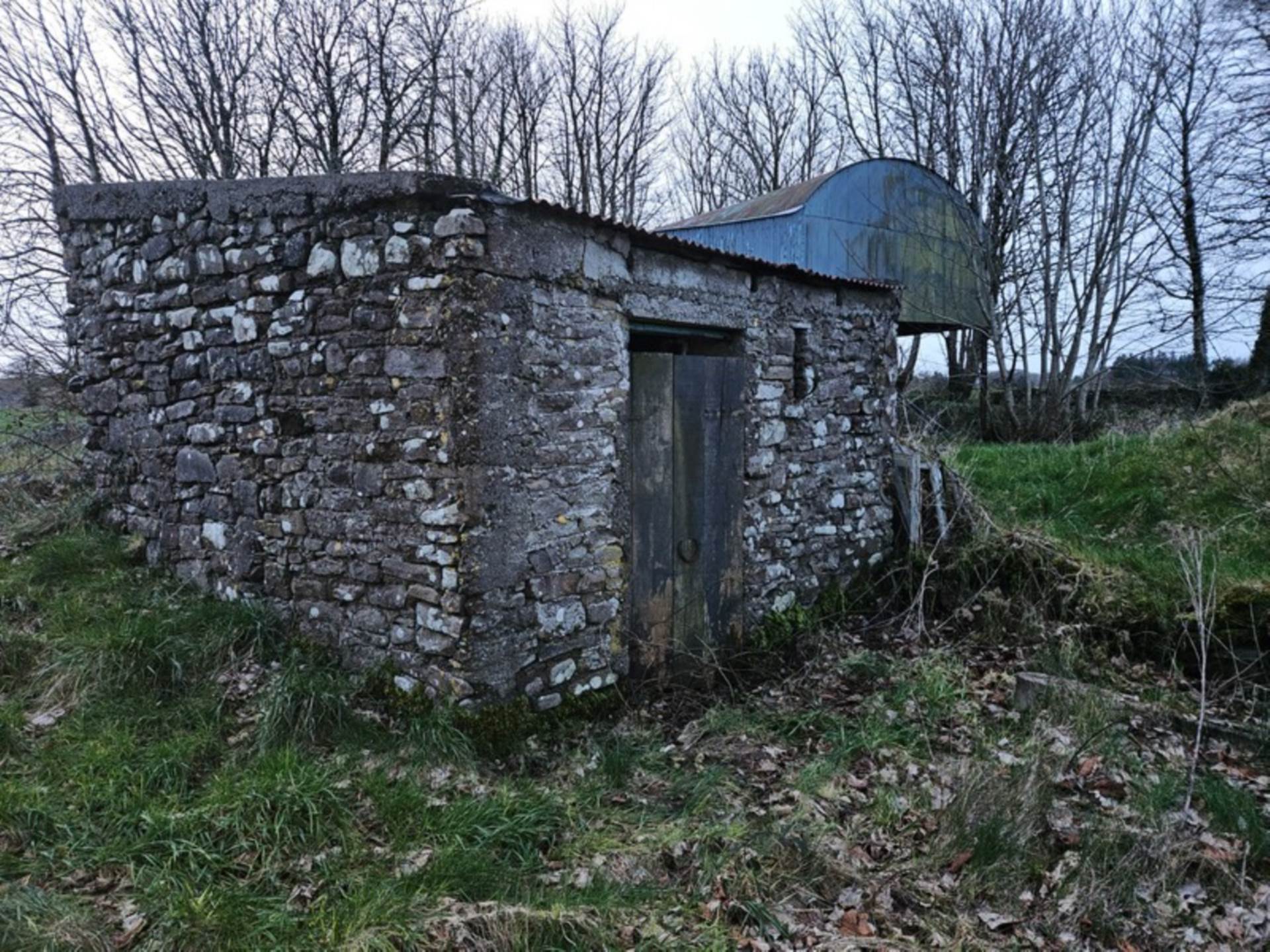 Cloonfineen, Ballinlough, Co. Roscommon F45 WF27