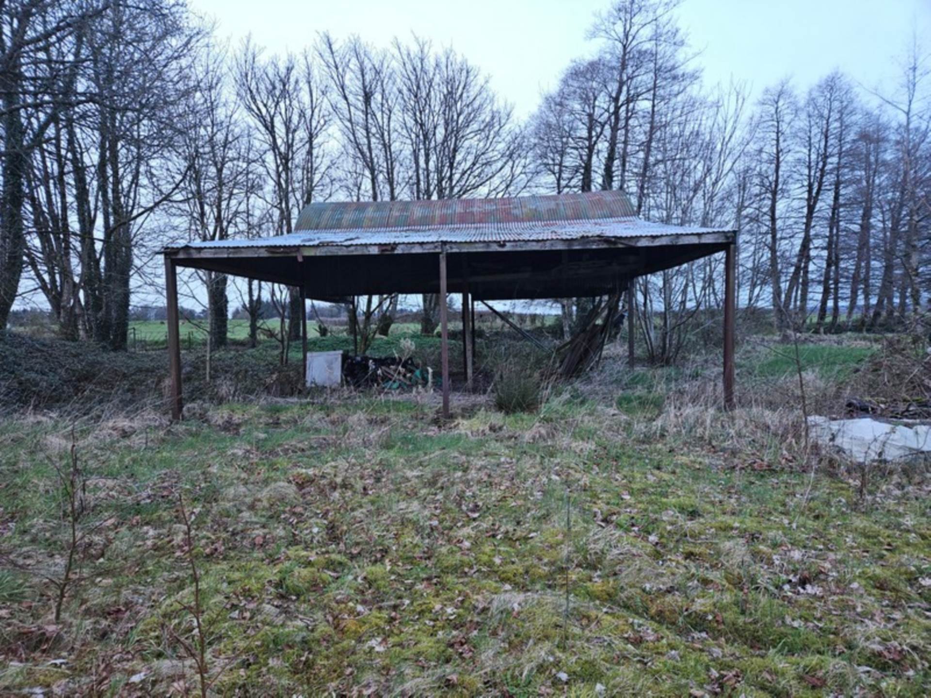 Cloonfineen, Ballinlough, Co. Roscommon F45 WF27