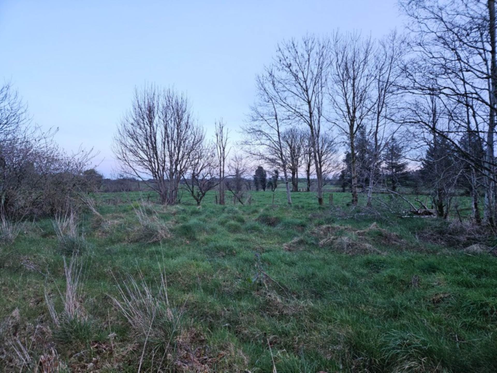 Cloonfineen, Ballinlough, Co. Roscommon F45 WF27