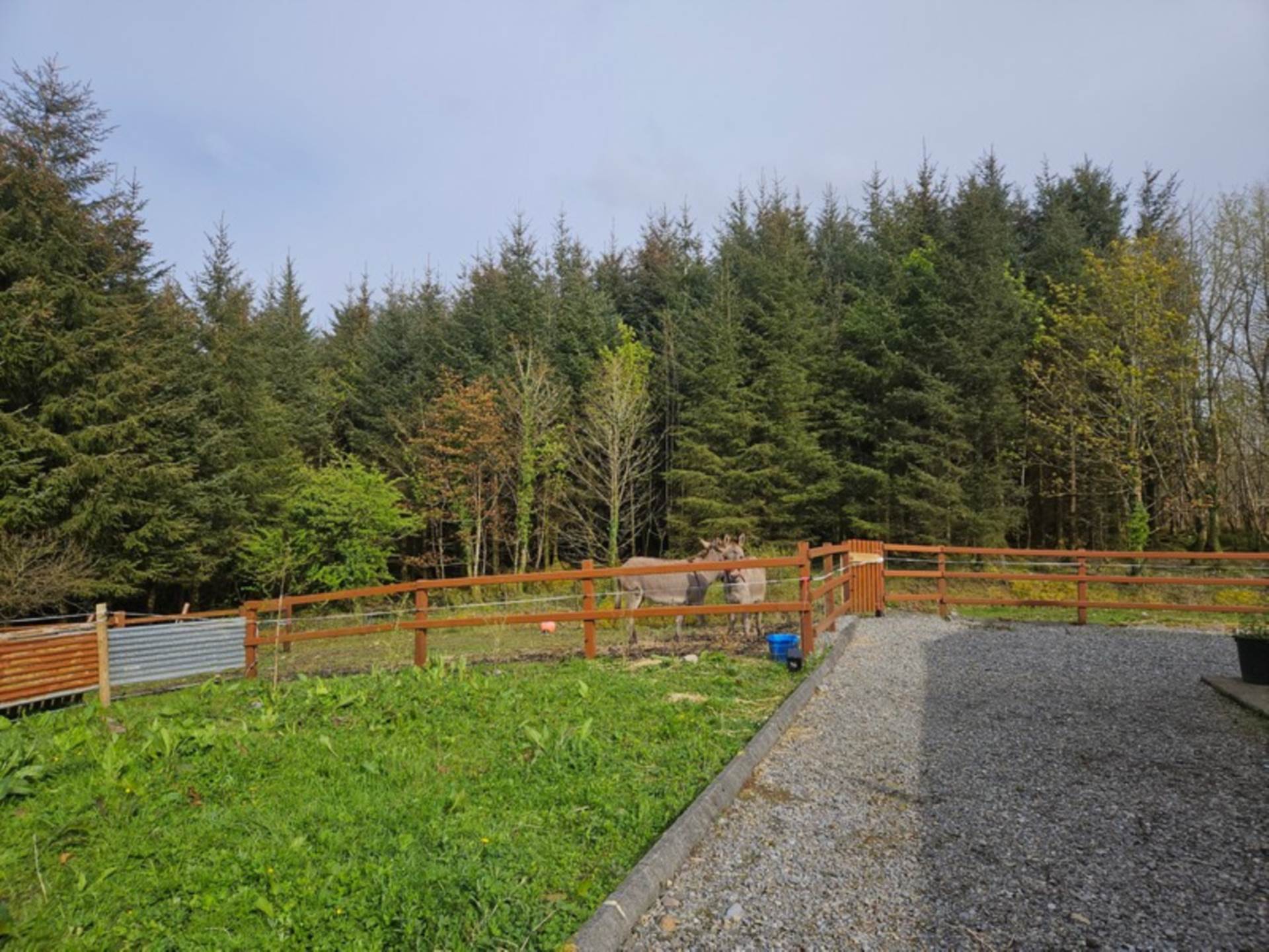 Bungalow on c. 3.73 Acres, Rusheen, Cloonelt, Castlerea, Co. Roscommon F45 RV08