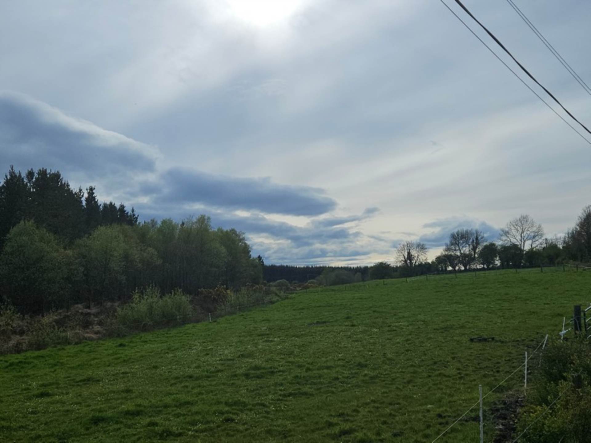 Bungalow on c. 3.73 Acres, Rusheen, Cloonelt, Castlerea, Co. Roscommon F45 RV08
