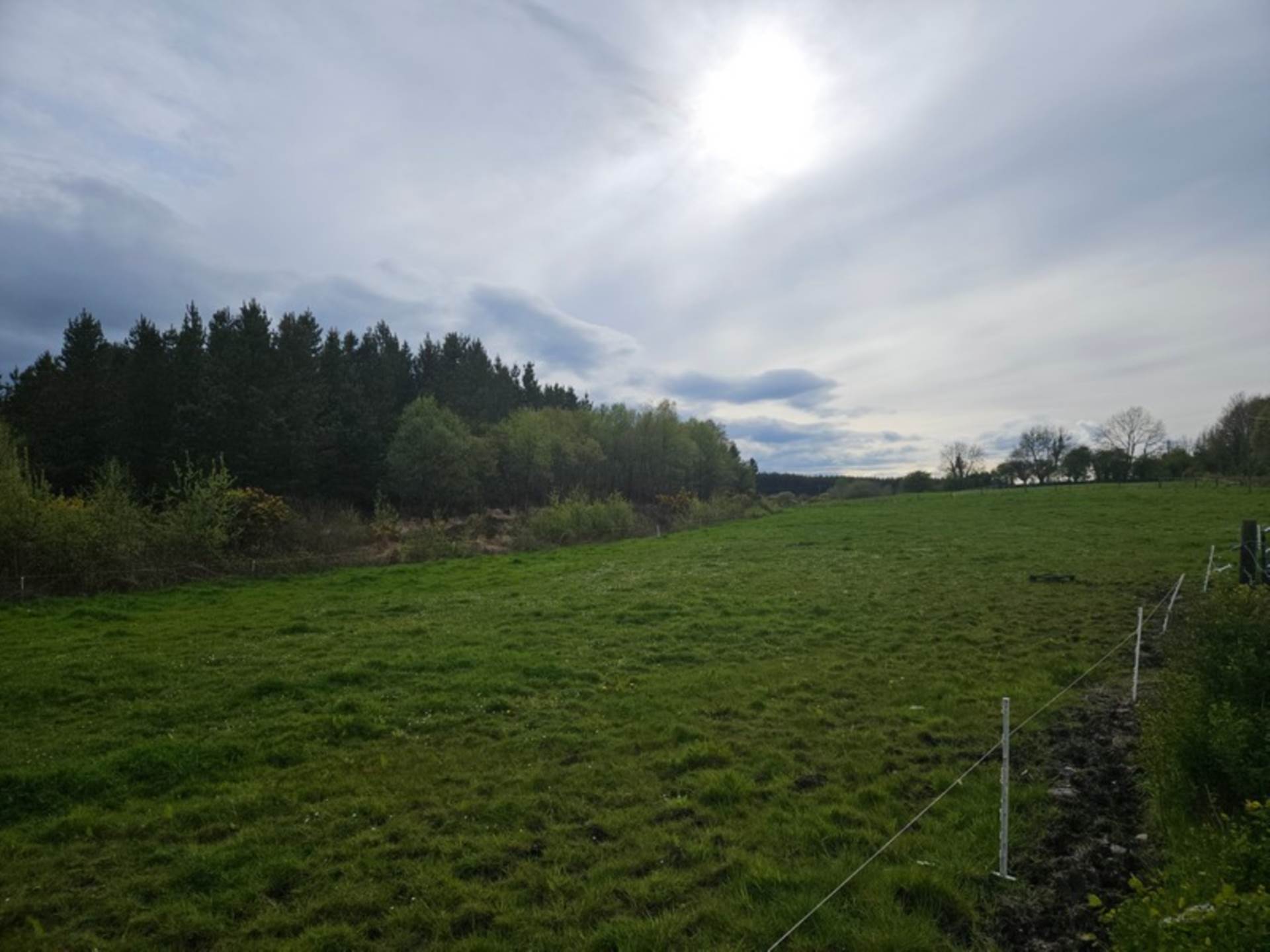 Bungalow on c. 3.73 Acres, Rusheen, Cloonelt, Castlerea, Co. Roscommon F45 RV08