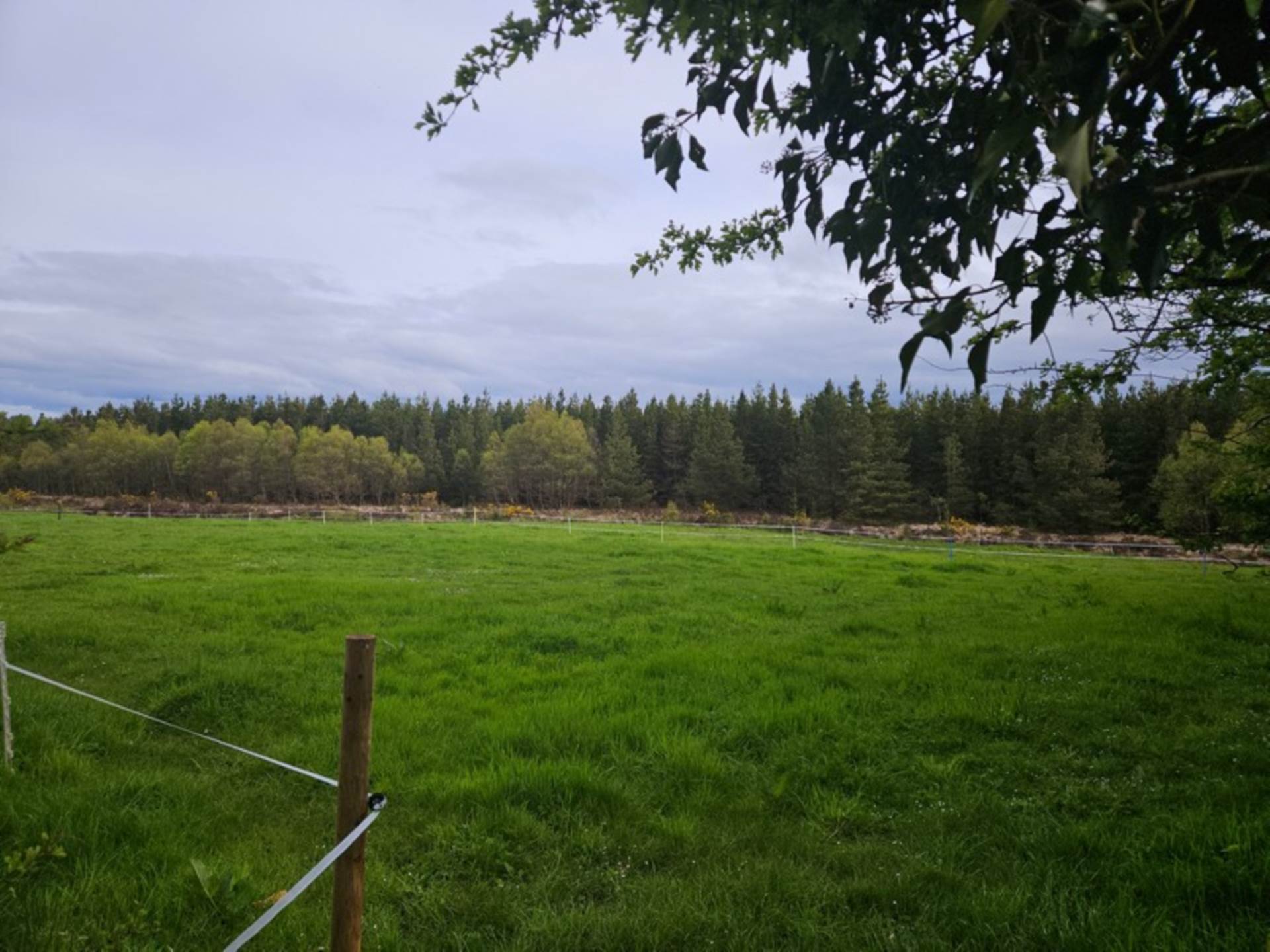 Bungalow on c. 3.73 Acres, Rusheen, Cloonelt, Castlerea, Co. Roscommon F45 RV08