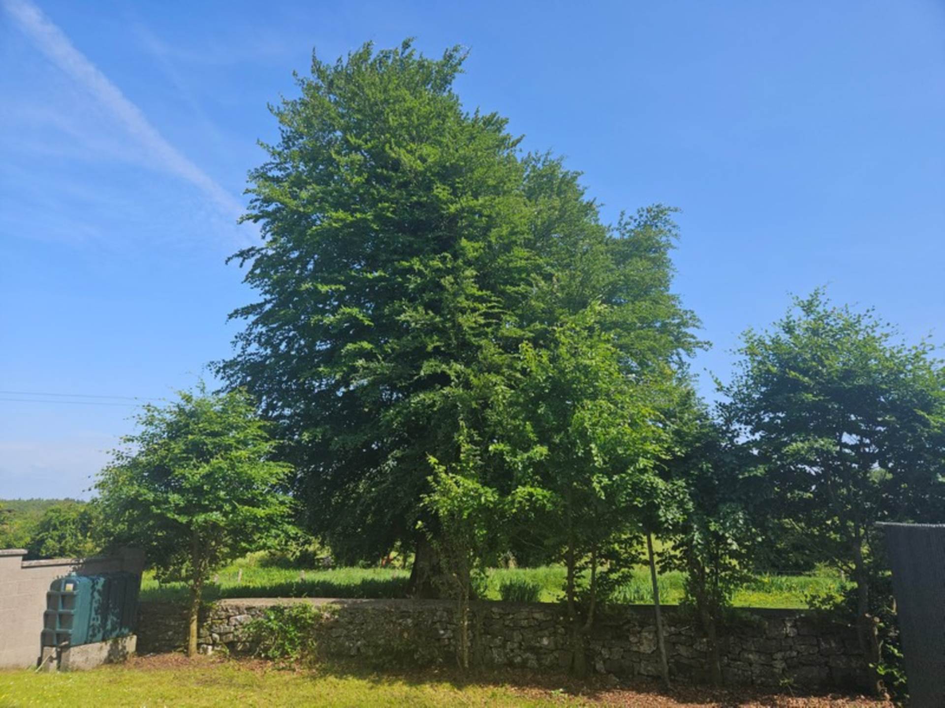 10 Castlelawn, Glinsk, Castlerea, Co. Galway F45 Y367  10 Castlelawn, Glinsk, Castlerea, Co. Galway F45 Y367
