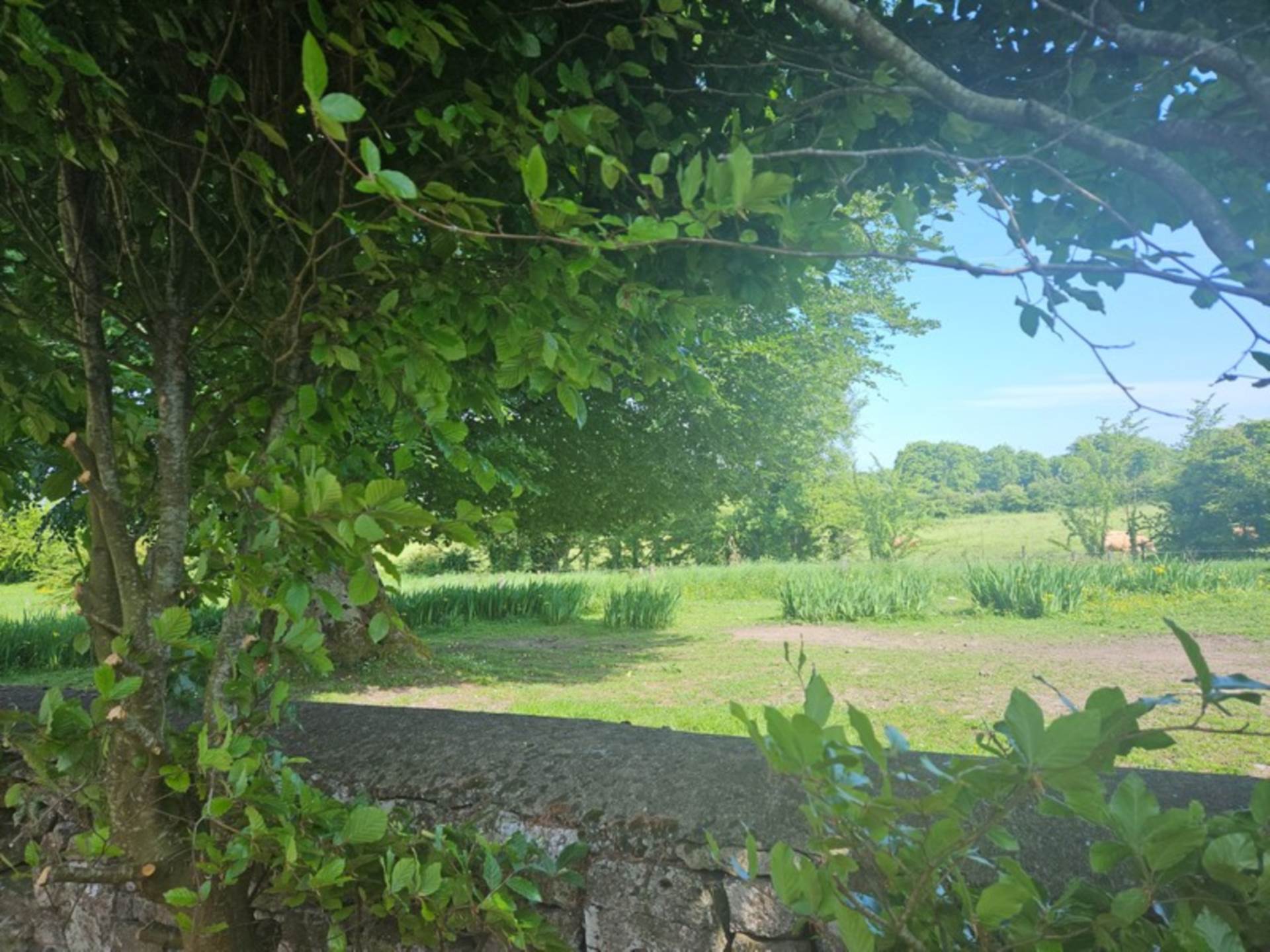 10 Castlelawn, Glinsk, Castlerea, Co. Galway F45 Y367  10 Castlelawn, Glinsk, Castlerea, Co. Galway F45 Y367