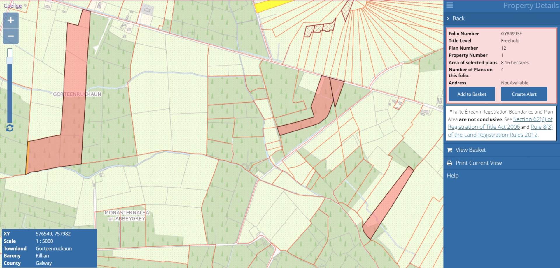 C. 40.5 Acres of Forestry, Hollygrove, Creggs, Co. Galway