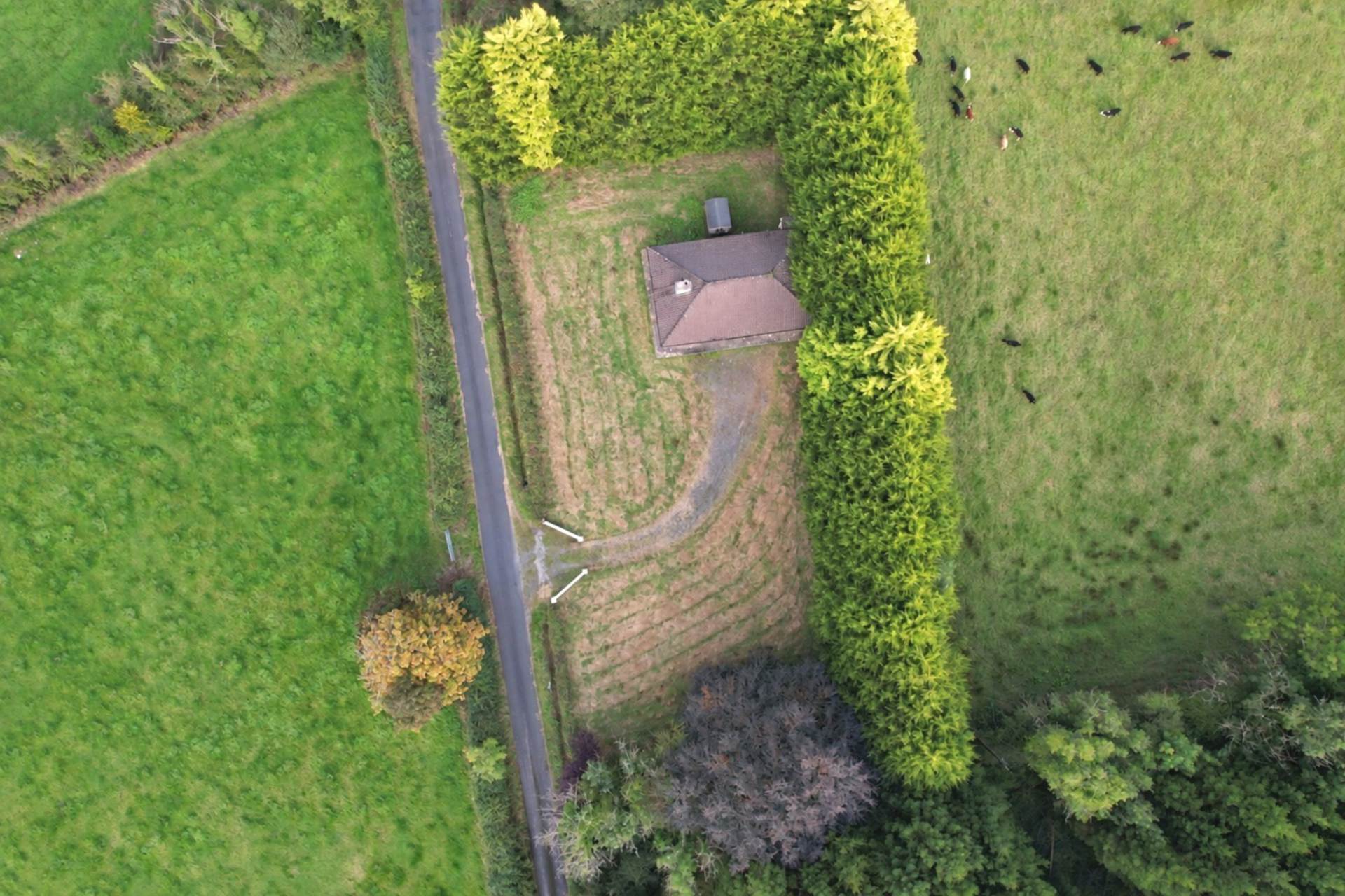 Tyrur, Newbridge, Ballinasloe, Co. Galway H53 XE02 Tyrur, Newbridge, Ballinasloe, Co. Galway H53 XE02