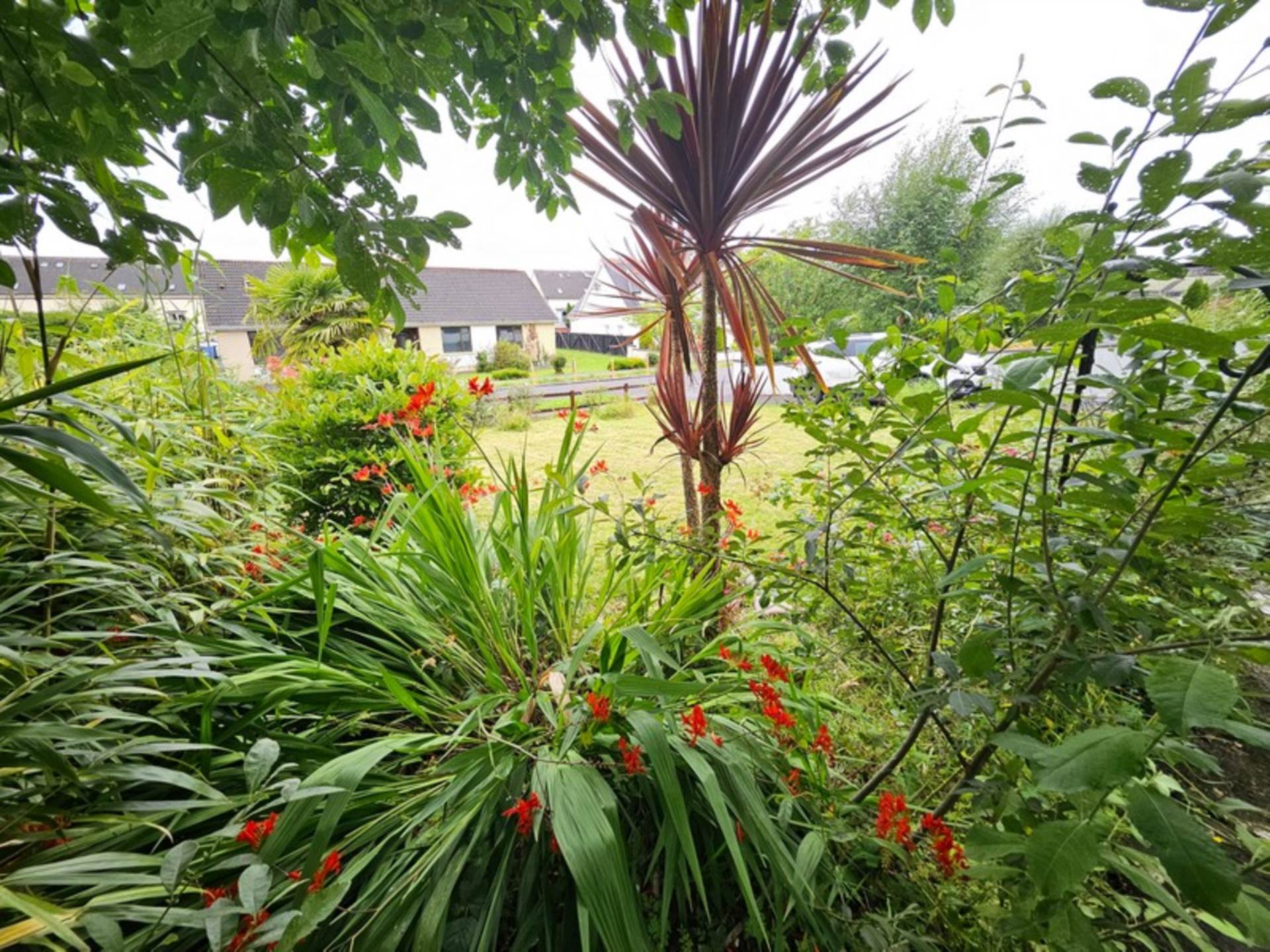 2 Shannon Lodge, Carrick-On-Shannon, Co. Leitrim N41 HD59