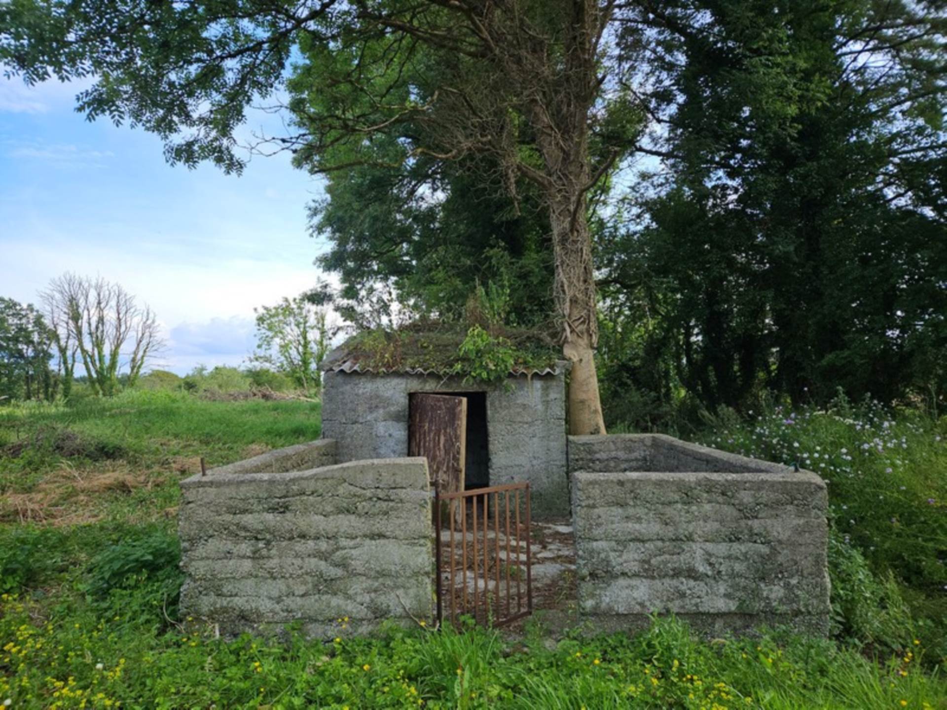 Barna, Glenamaddy, Co. Galway F45 PW29