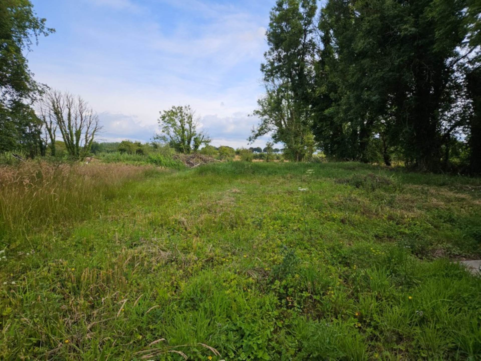 Barna, Glenamaddy, Co. Galway F45 PW29