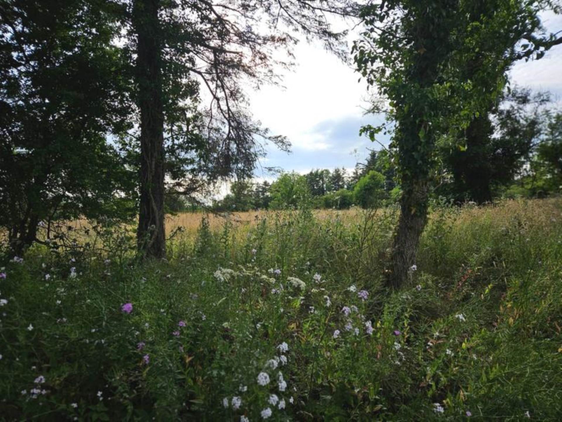 Barna, Glenamaddy, Co. Galway F45 PW29
