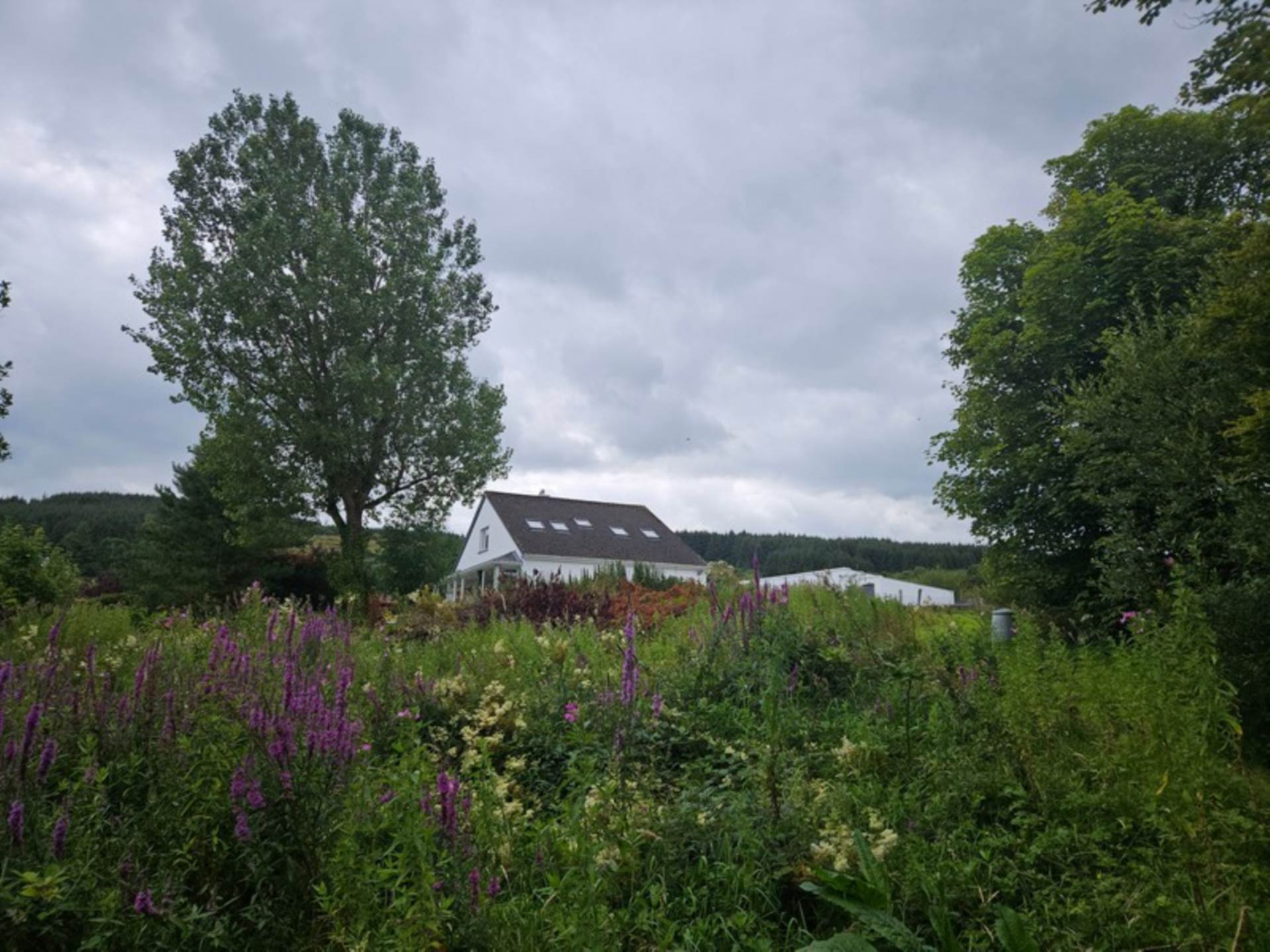 Burkedale House, Carhue, Ennistymon, Co. Clare V95 H9H9