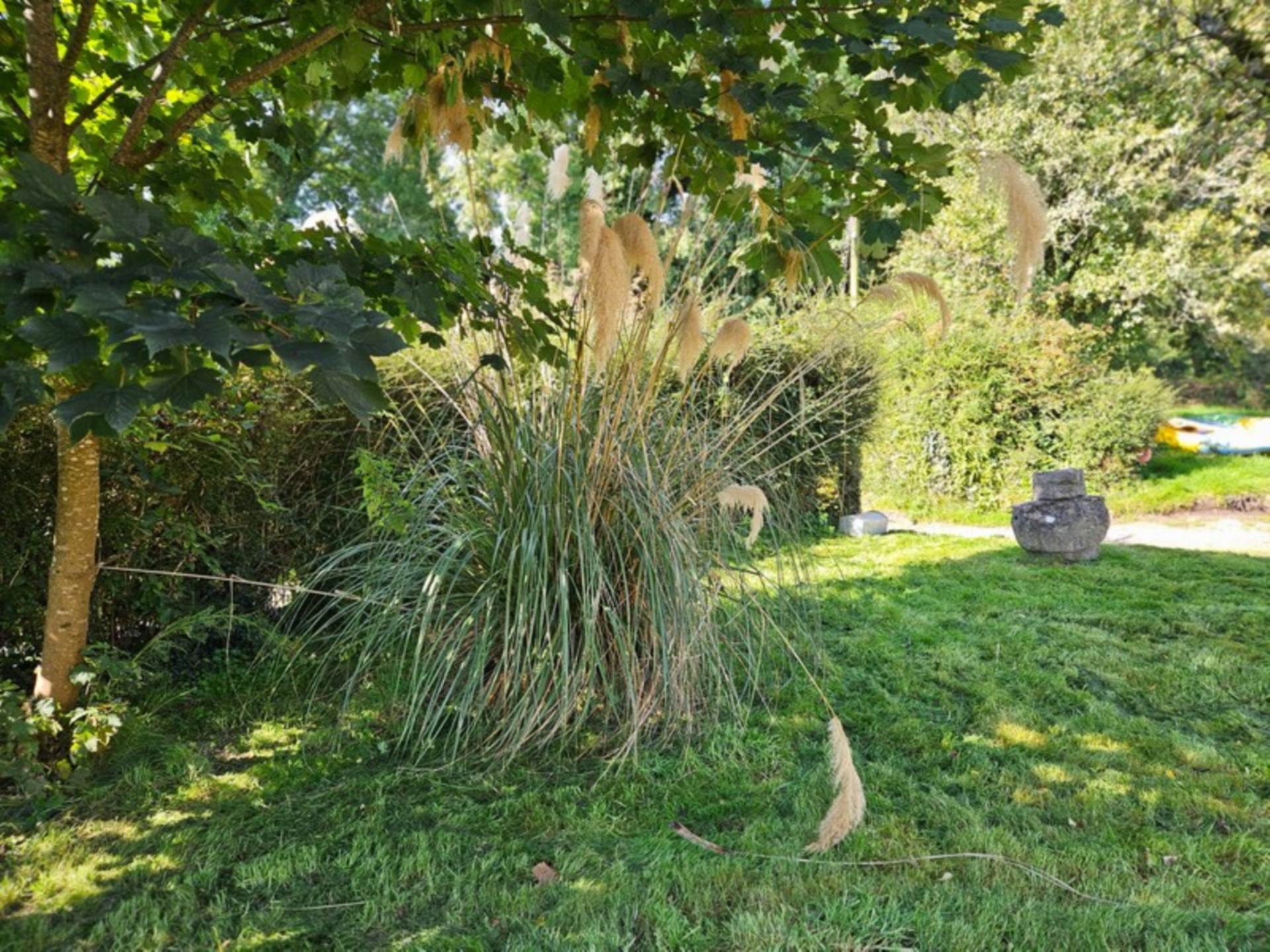 Little Way Cottage, Taghnoose, Carrowbehy, Castlerea, Co. Roscommon F45 NT22