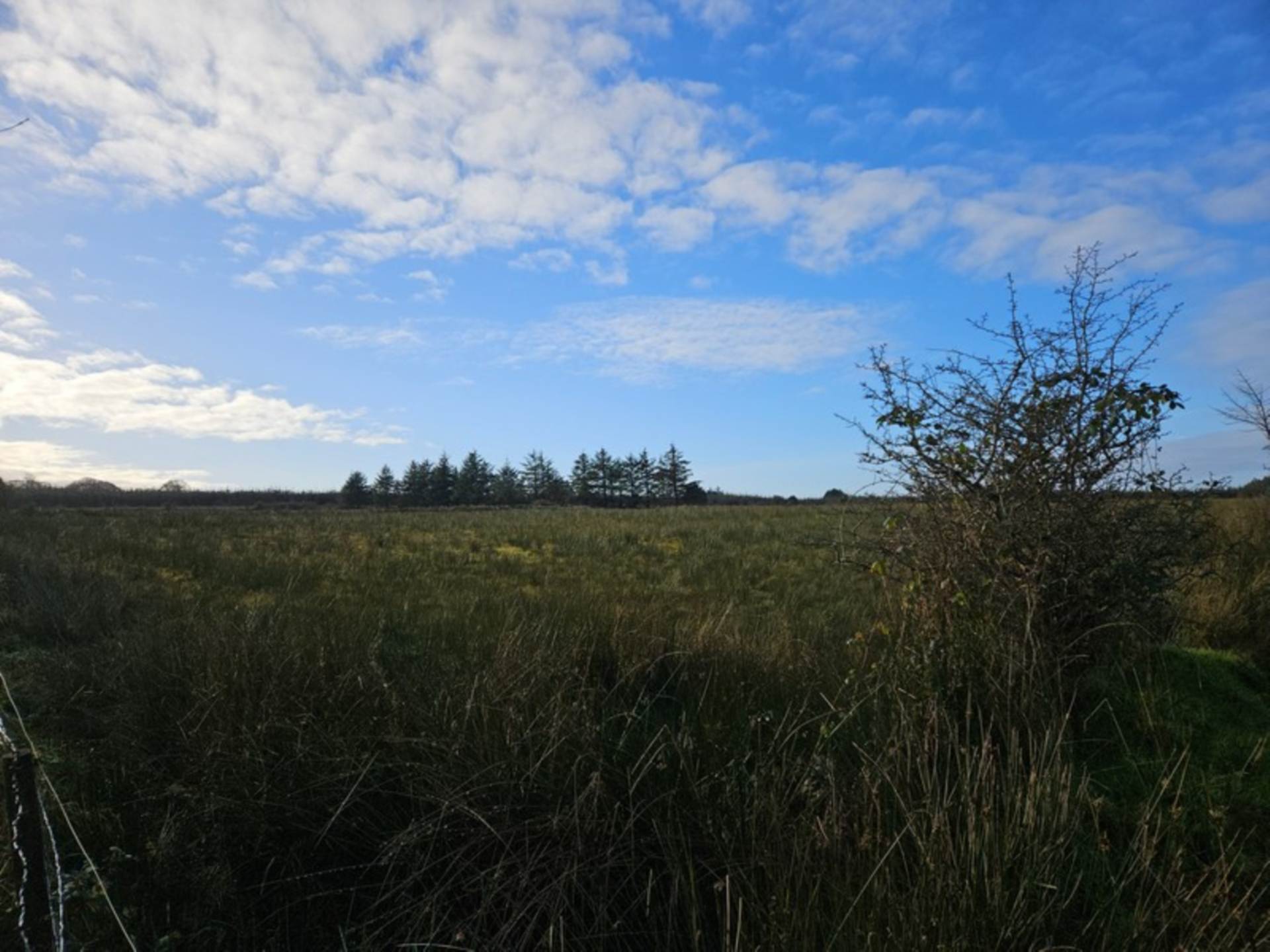 C. 16.88 Acres, Doon, Gorteen, Co. Sligo C. 16.88 Acres, Doon, Gorteen, Co. Sligo