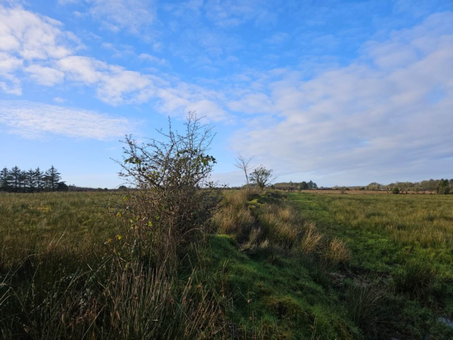 C. 16.88 Acres, Doon, Gorteen, Co. Sligo C. 16.88 Acres, Doon, Gorteen, Co. Sligo