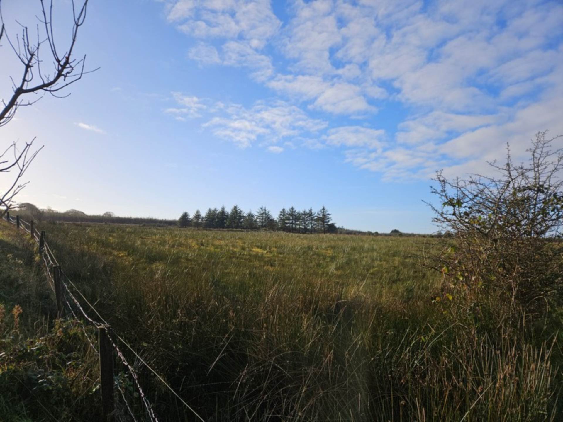 C. 16.88 Acres, Doon, Gorteen, Co. Sligo C. 16.88 Acres, Doon, Gorteen, Co. Sligo