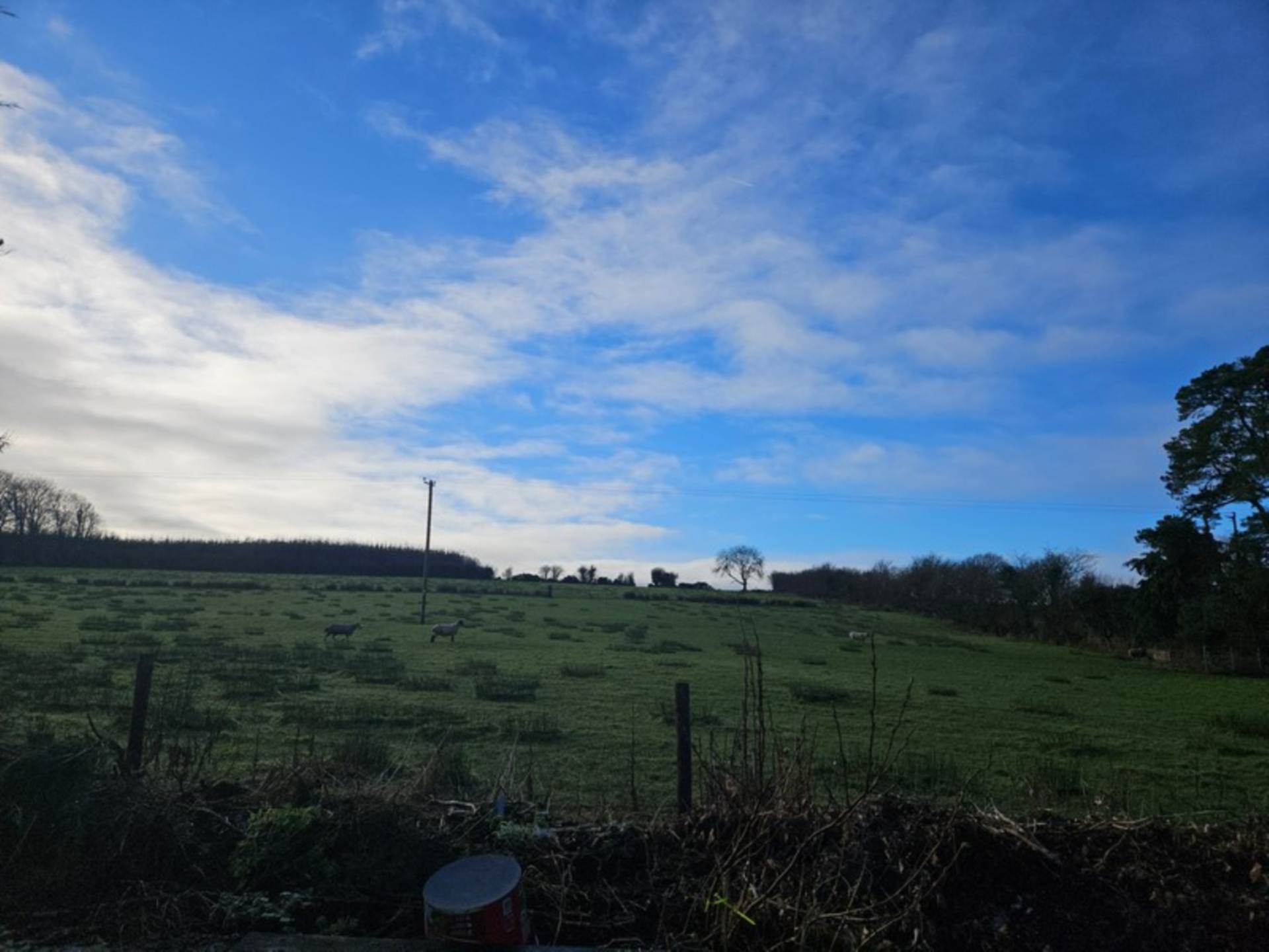 Gortmorris, Creggs, Co. Galway F42 TW88