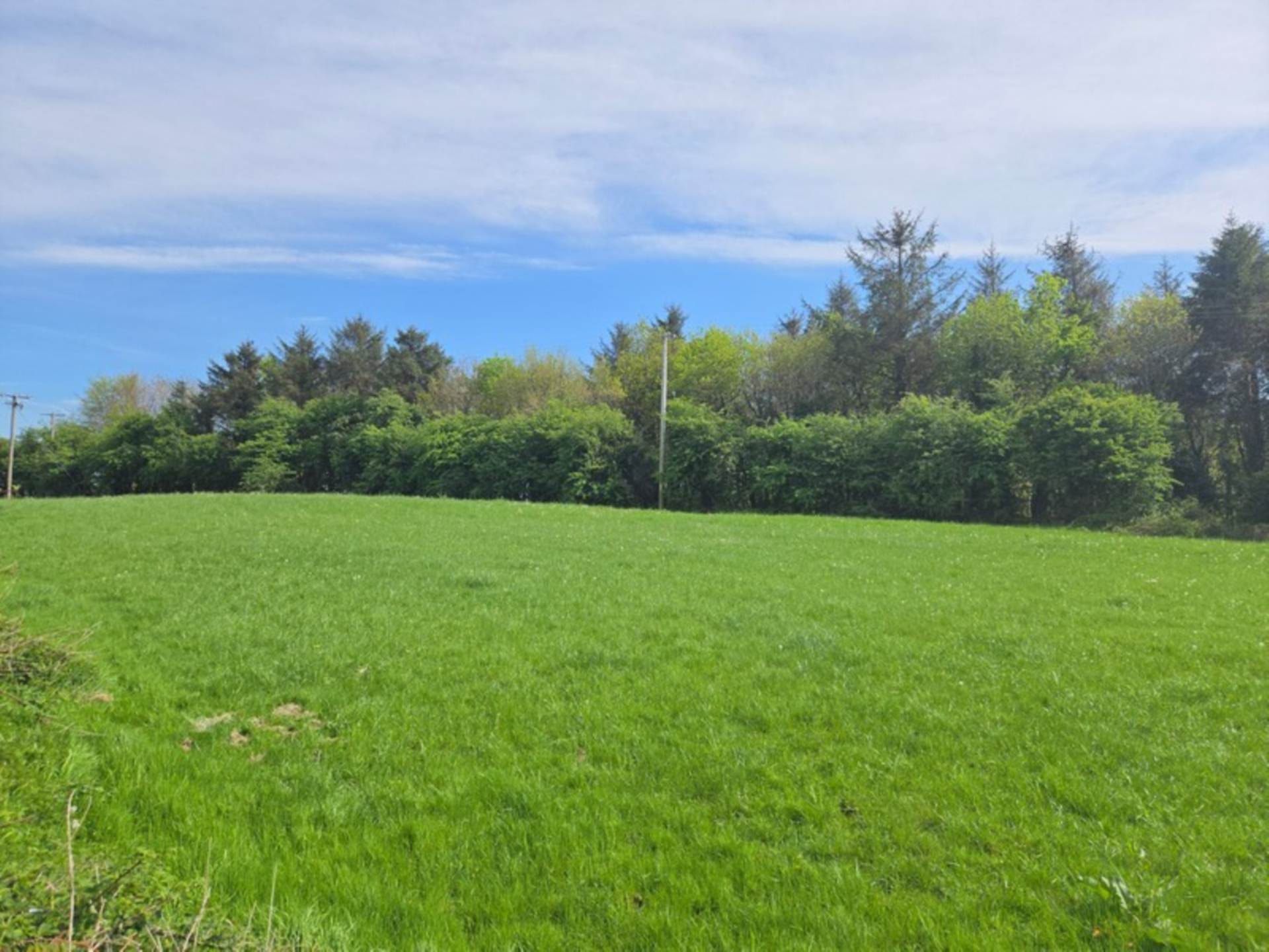 7 Manor Brook, Ballyhaunis, Co. Mayo F35 VY00