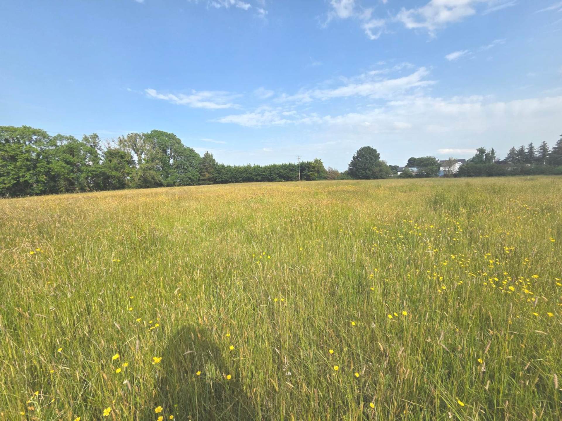C. 4.16 Acres of Land with Optional Derelict Cottage, Williamstown, Co. Galway