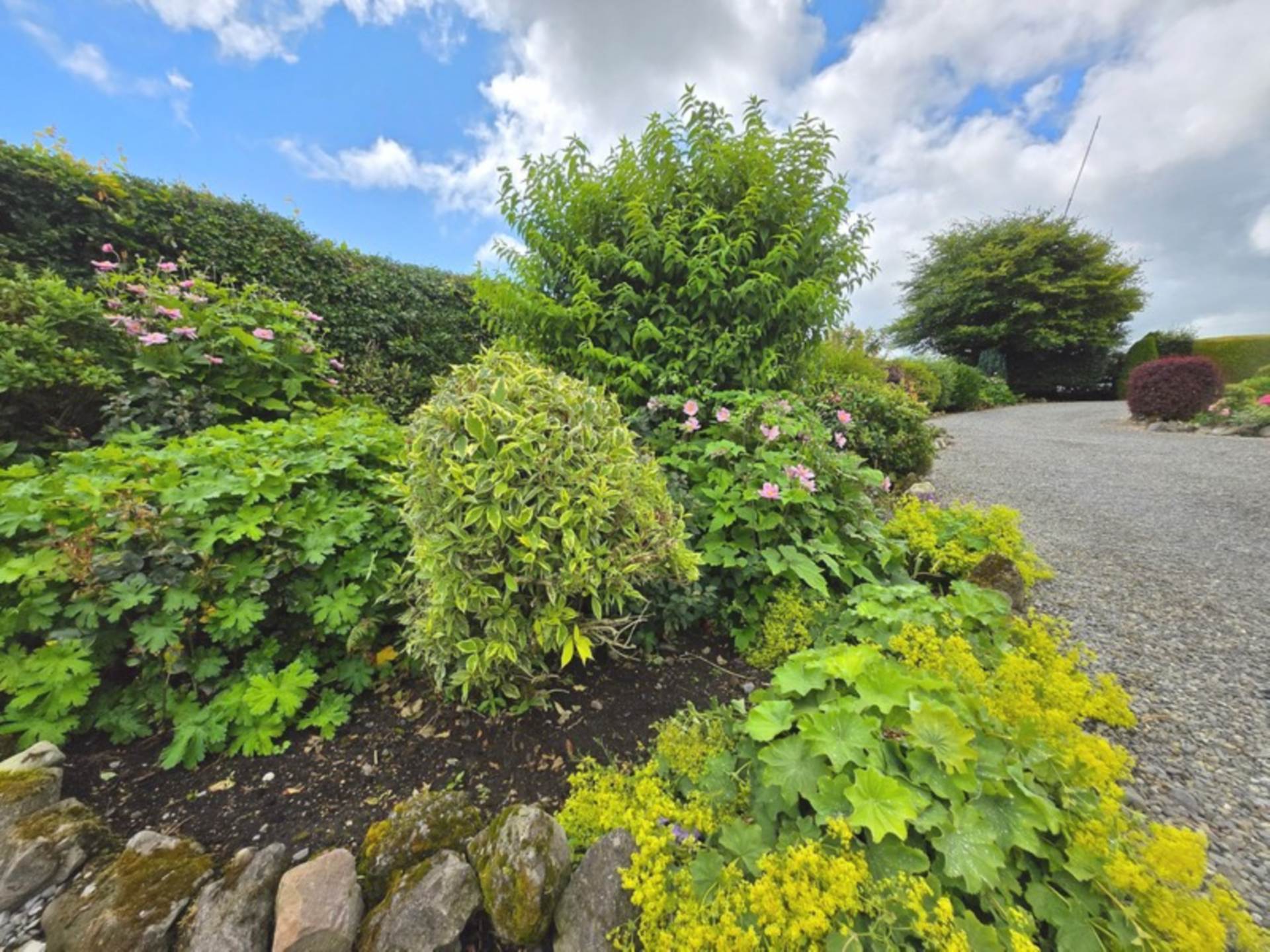 Lamdagh, Middletown, Glenamaddy, Co. Galway F45 XW93