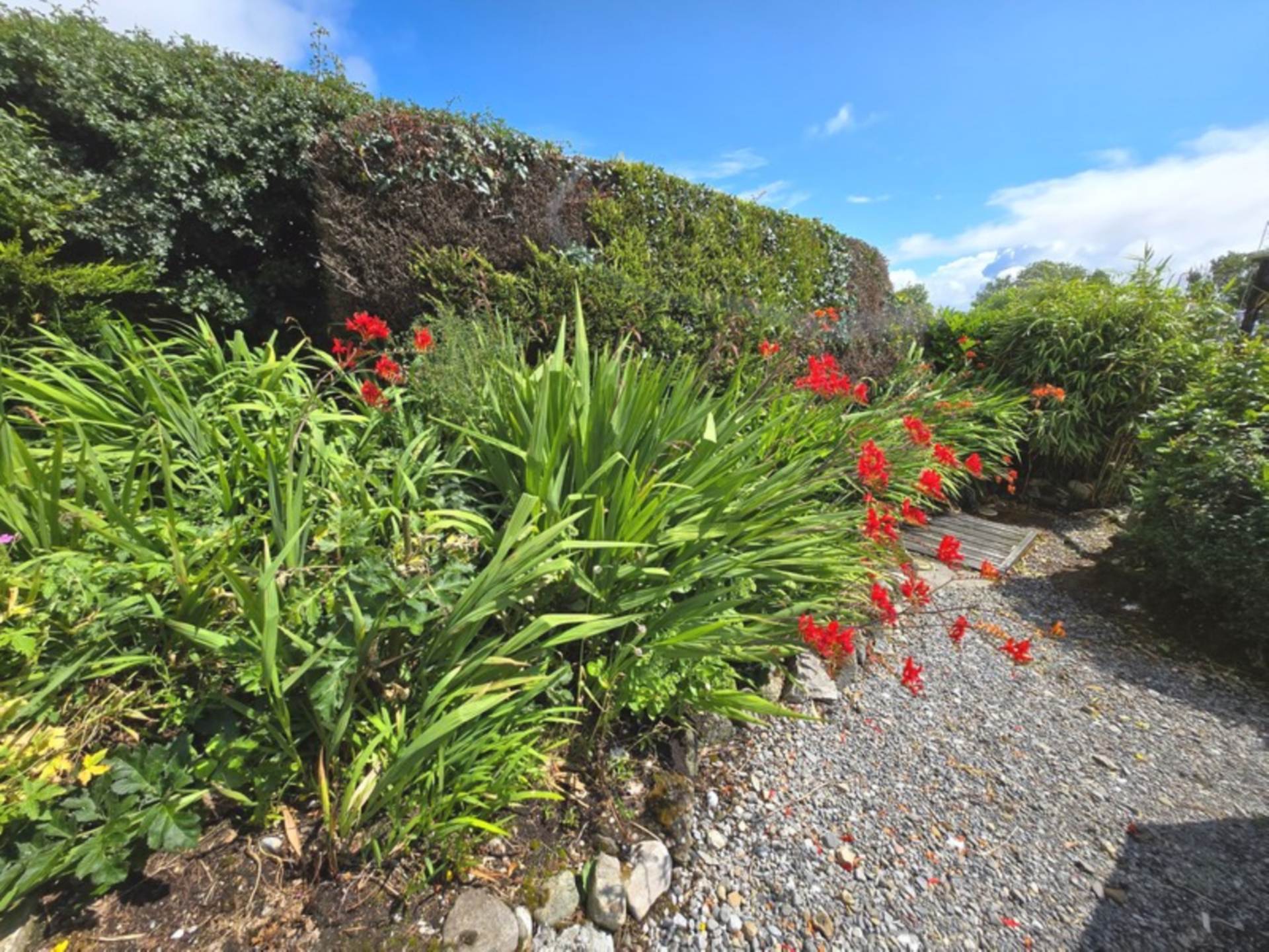 Lamdagh, Middletown, Glenamaddy, Co. Galway F45 XW93