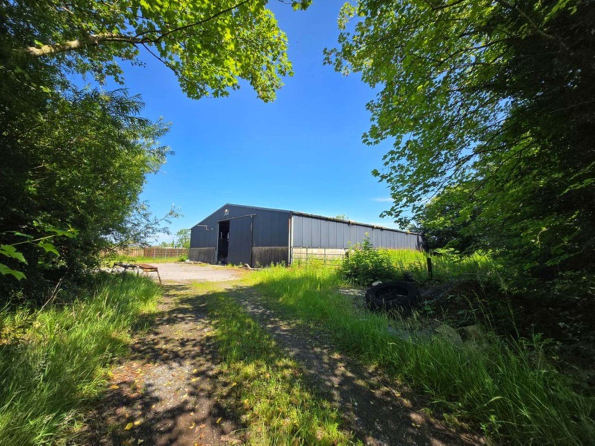House, Stables & 6 Acres in the Heart of the Countryside – Welcome to Moneen, Creggs, Co. Galway F42 HK72