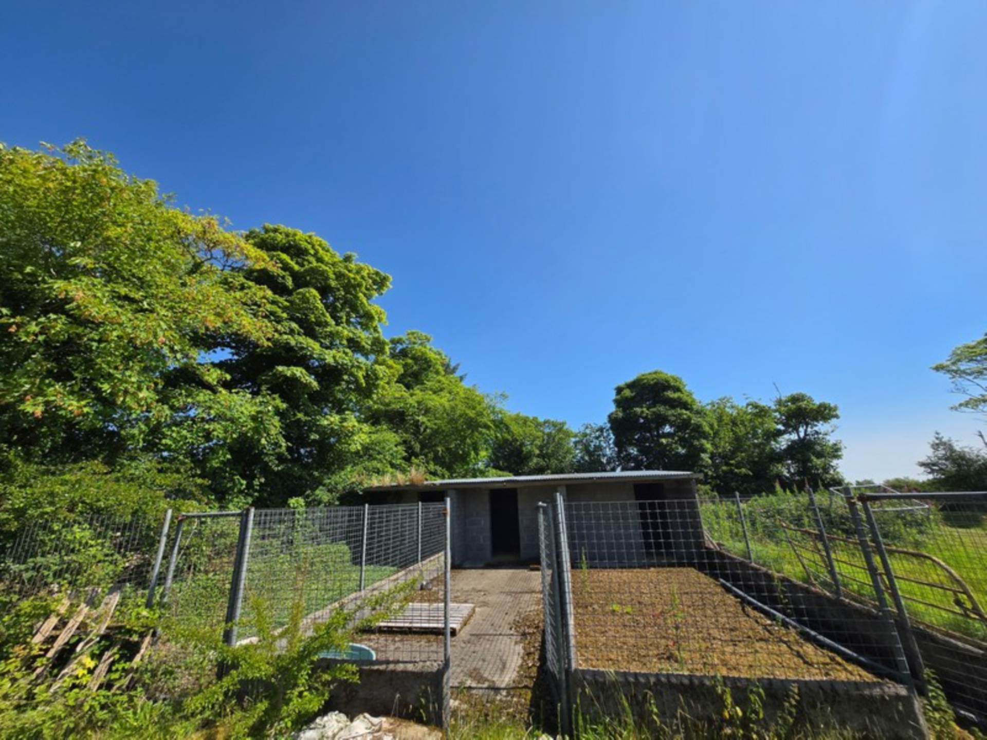 House, Stables & 6 Acres in the Heart of the Countryside – Welcome to Moneen, Creggs, Co. Galway F42 HK72