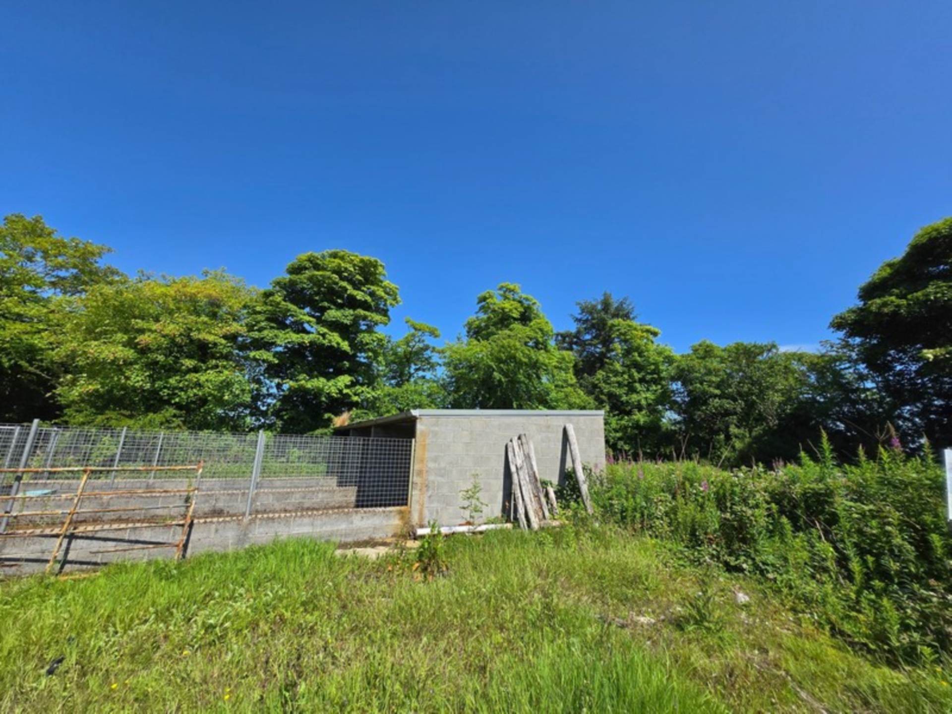 House, Stables & 6 Acres in the Heart of the Countryside – Welcome to Moneen, Creggs, Co. Galway F42 HK72