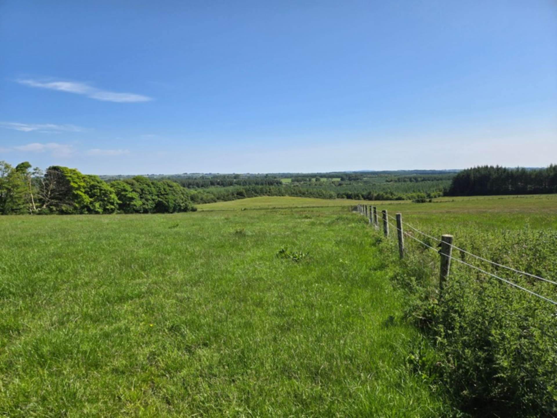 House, Stables & 6 Acres in the Heart of the Countryside – Welcome to Moneen, Creggs, Co. Galway F42 HK72