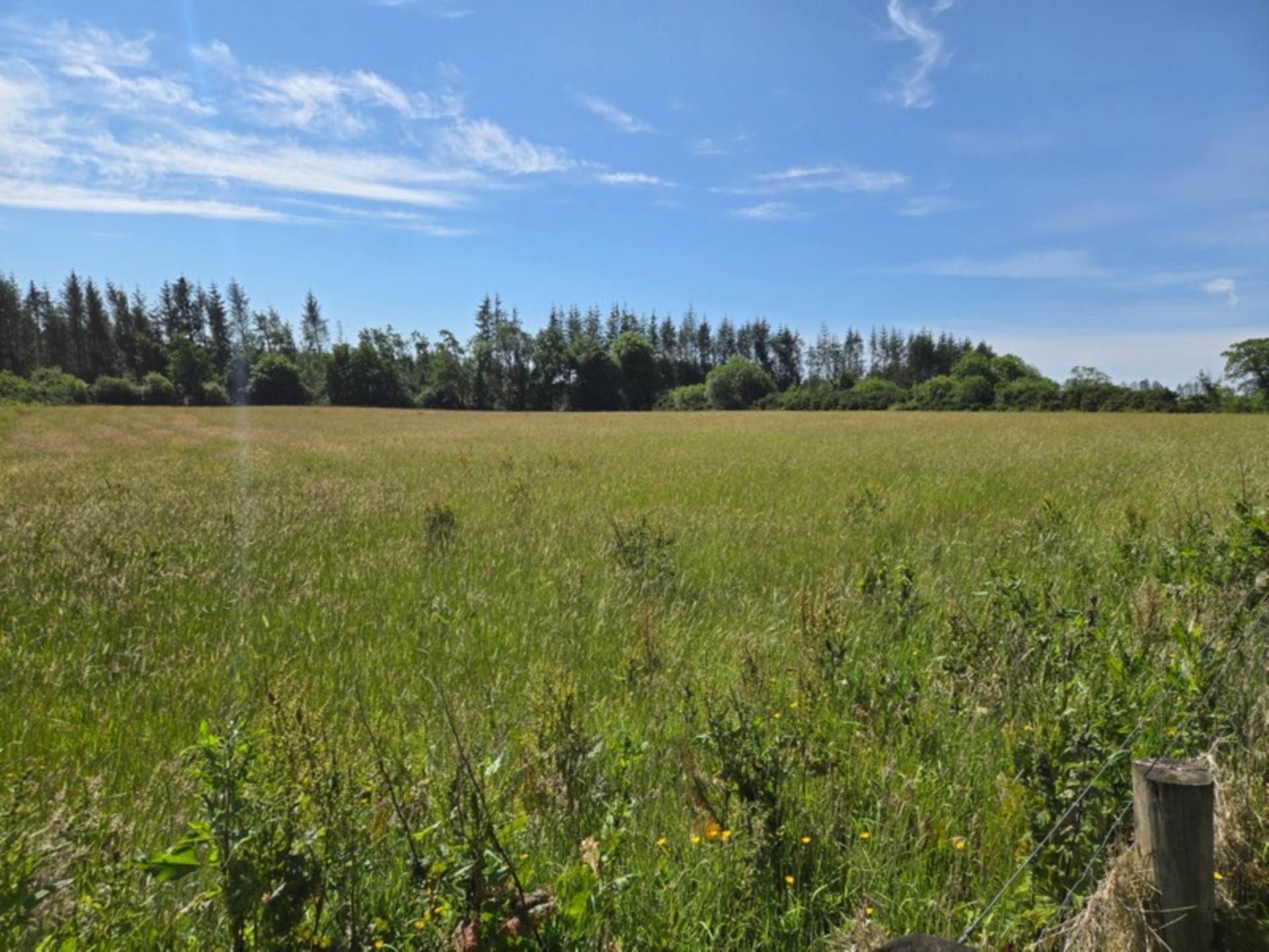 House, Stables & 6 Acres in the Heart of the Countryside – Welcome to Moneen, Creggs, Co. Galway F42 HK72