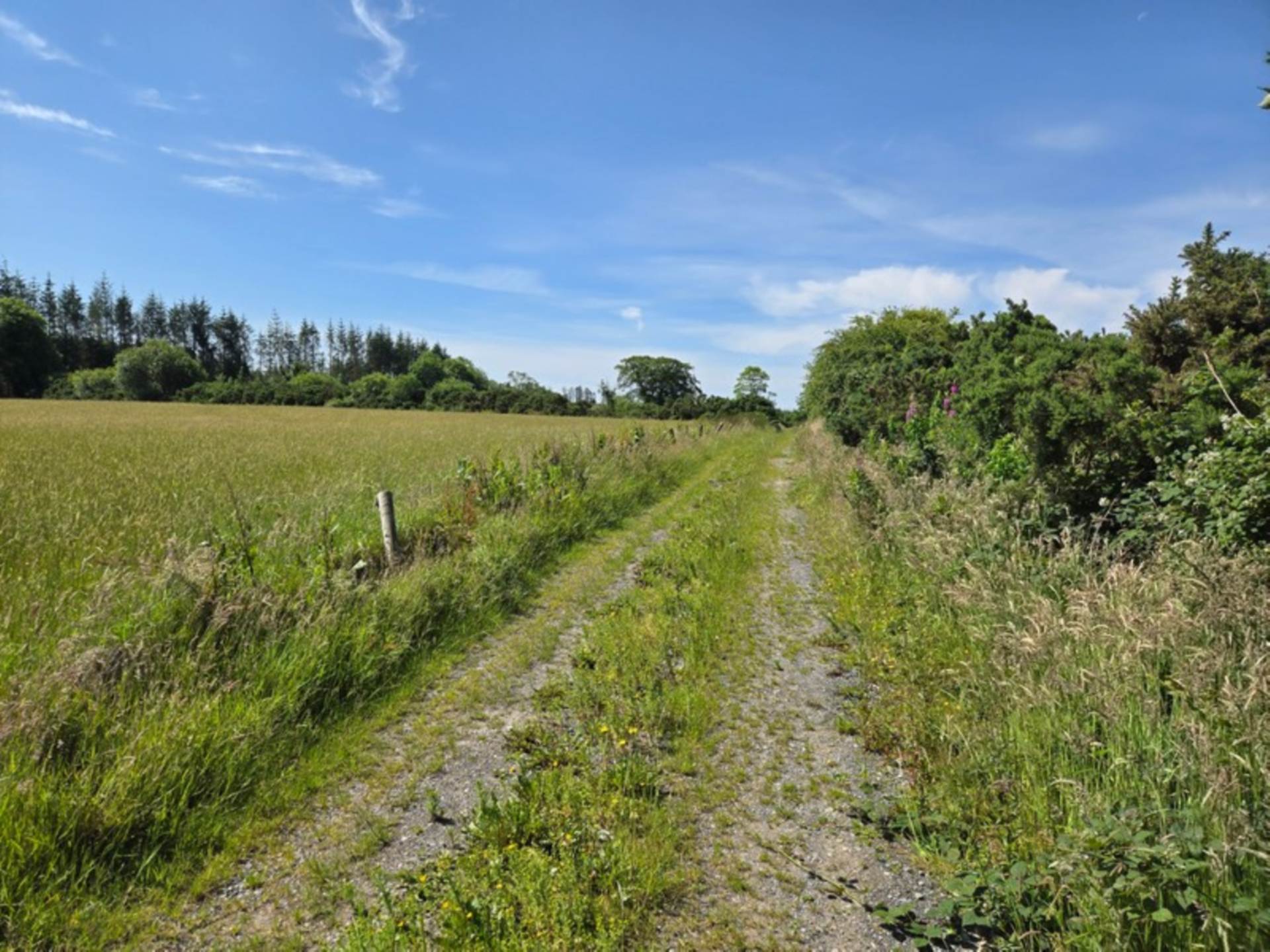 House, Stables & 6 Acres in the Heart of the Countryside – Welcome to Moneen, Creggs, Co. Galway F42 HK72