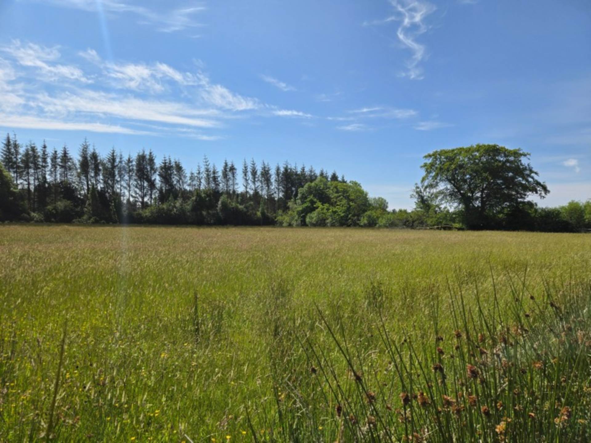 House, Stables & 6 Acres in the Heart of the Countryside – Welcome to Moneen, Creggs, Co. Galway F42 HK72