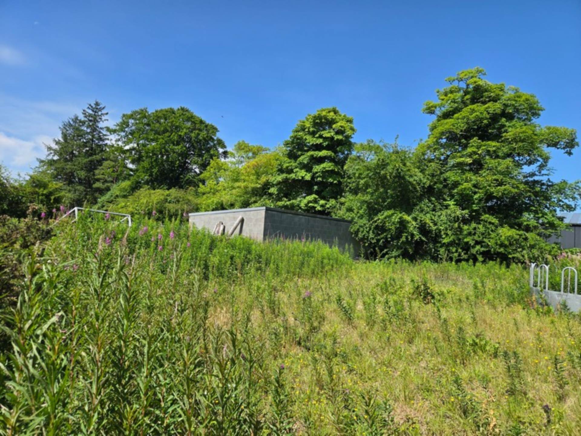 House, Stables & 6 Acres in the Heart of the Countryside – Welcome to Moneen, Creggs, Co. Galway F42 HK72