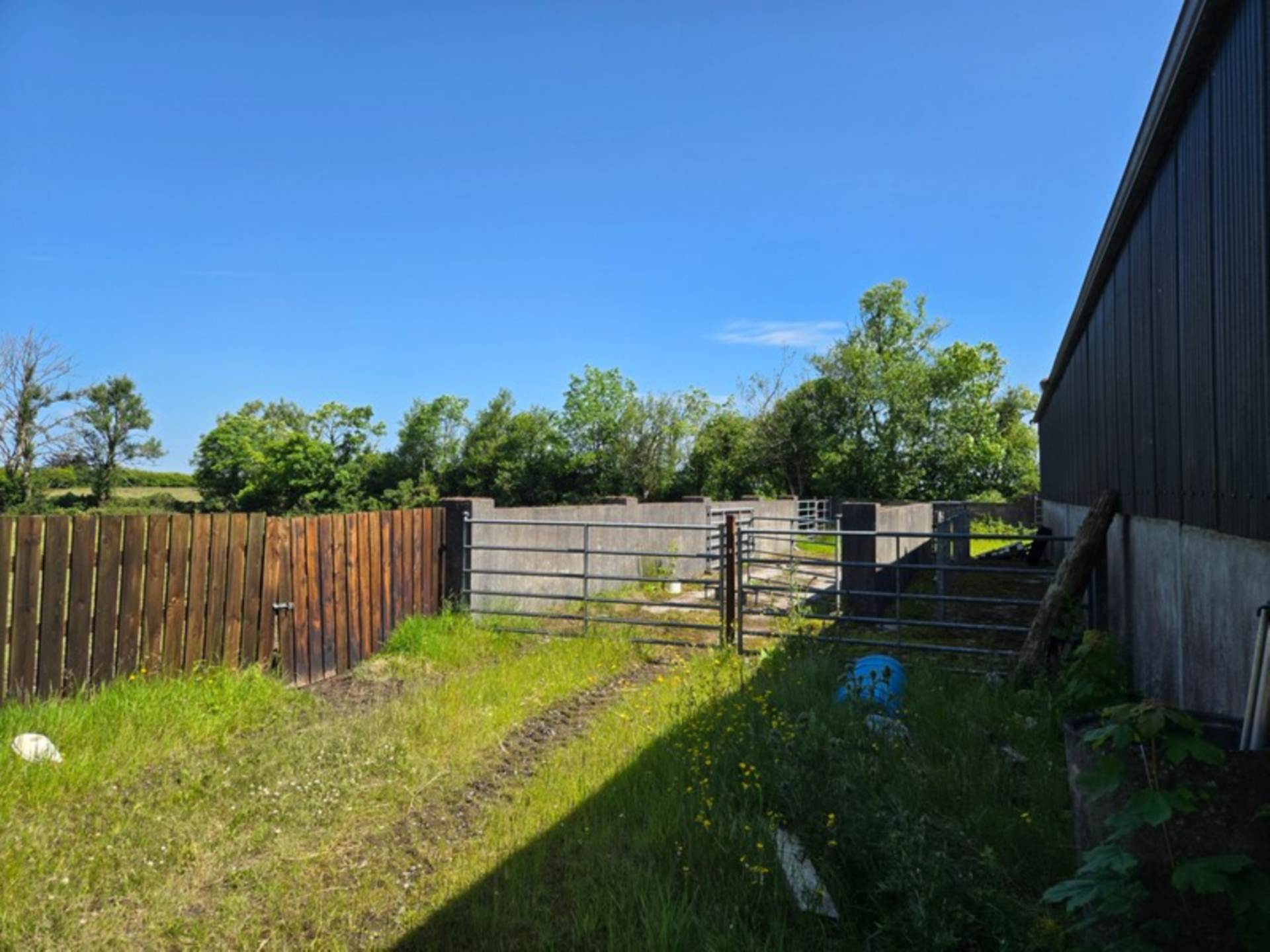 House, Stables & 6 Acres in the Heart of the Countryside – Welcome to Moneen, Creggs, Co. Galway F42 HK72