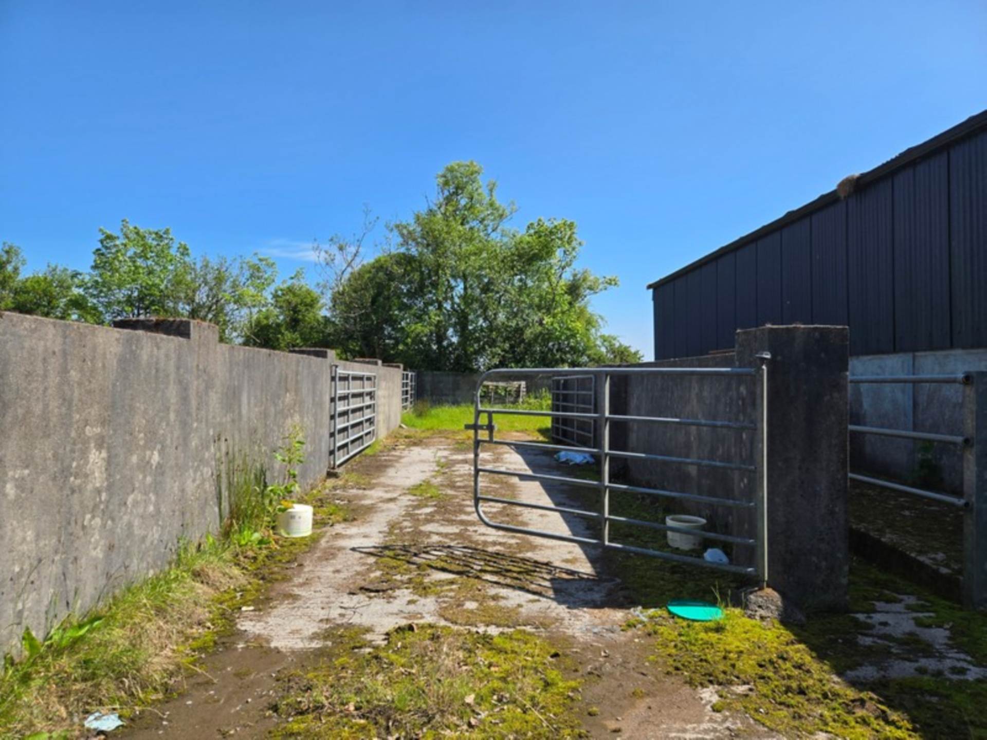 House, Stables & 6 Acres in the Heart of the Countryside – Welcome to Moneen, Creggs, Co. Galway F42 HK72