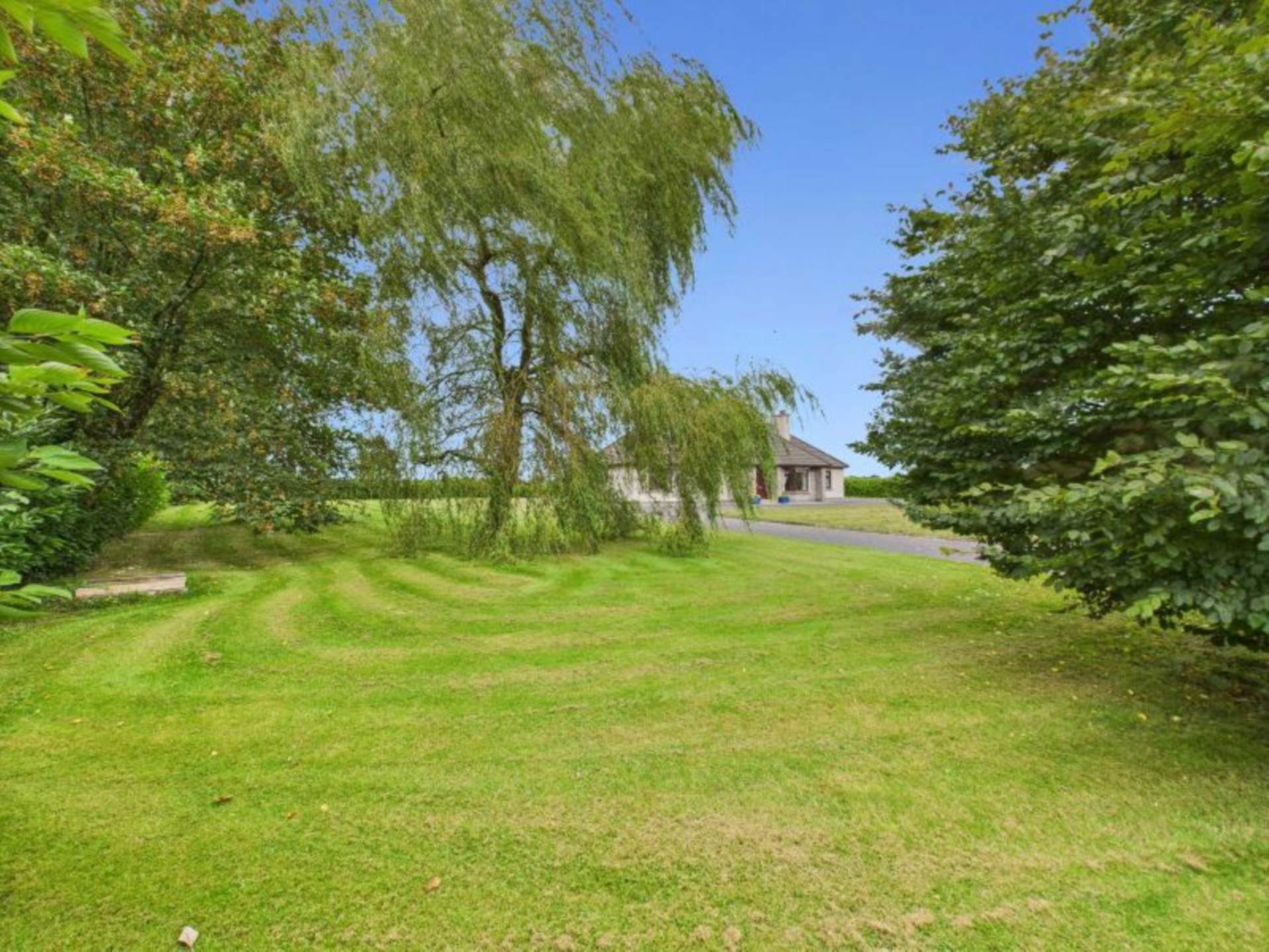 Clon Willow, Ballyedmond, Clonberne, Co. Galway H53 RV06