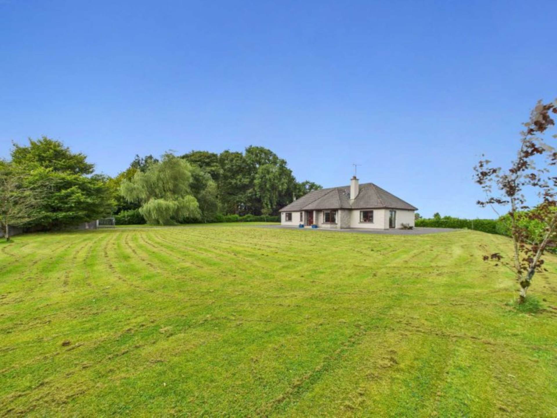 Clon Willow, Ballyedmond, Clonberne, Co. Galway H53 RV06