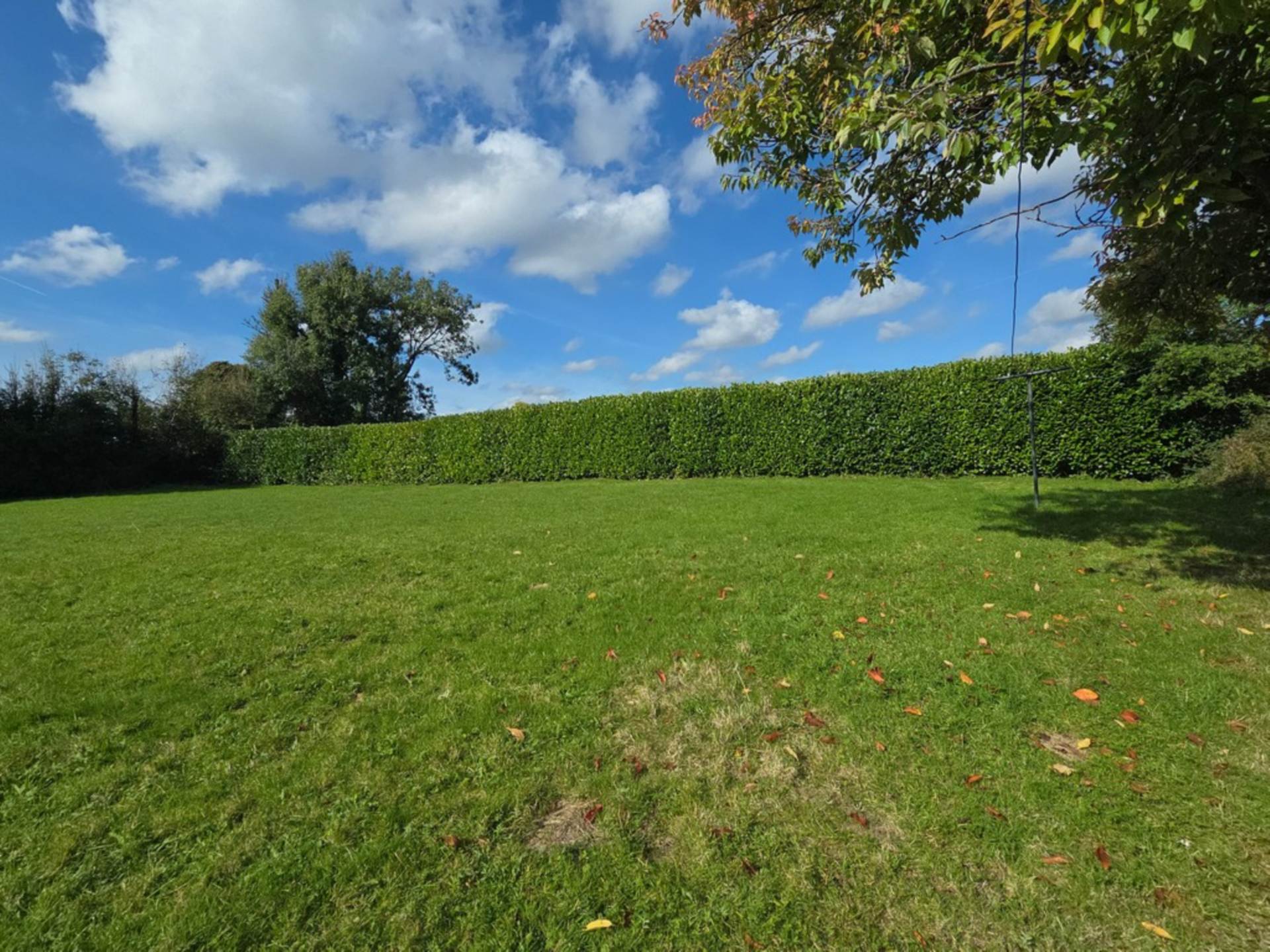 Tullaghan Rock,Ballaghaderreen, Co. Roscommon, F45 HT63