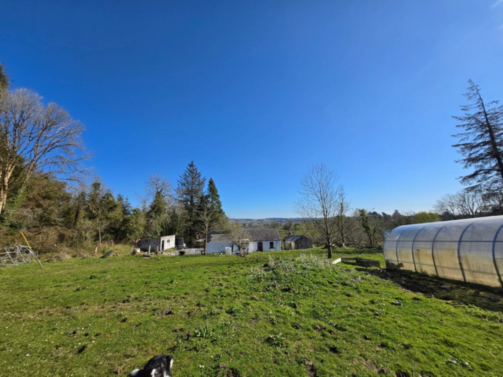 Blackthorn Farm, Tavneena, Charlestown, Co. Mayo F12 ET85