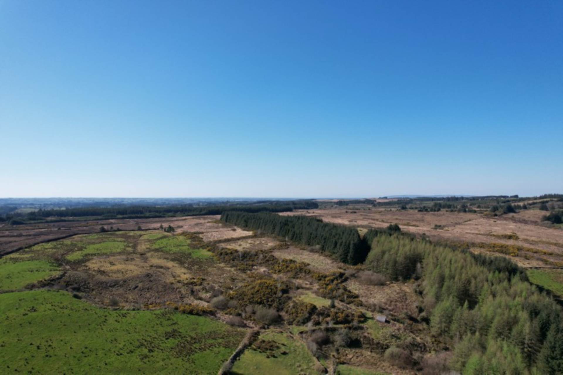 Blackthorn Farm, Tavneena, Charlestown, Co. Mayo F12 ET85