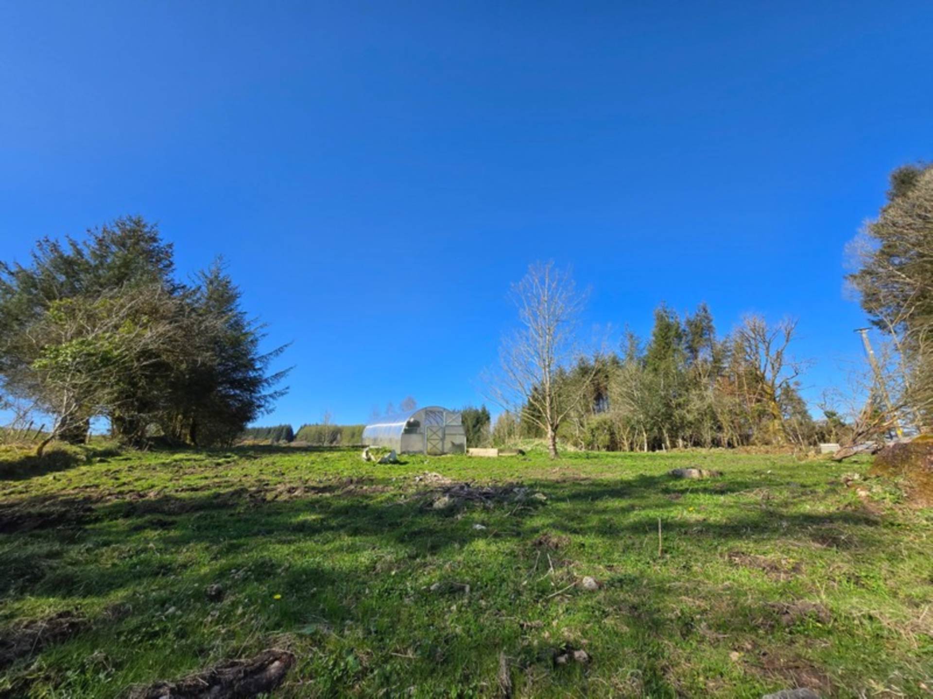 Blackthorn Farm, Tavneena, Charlestown, Co. Mayo F12 ET85