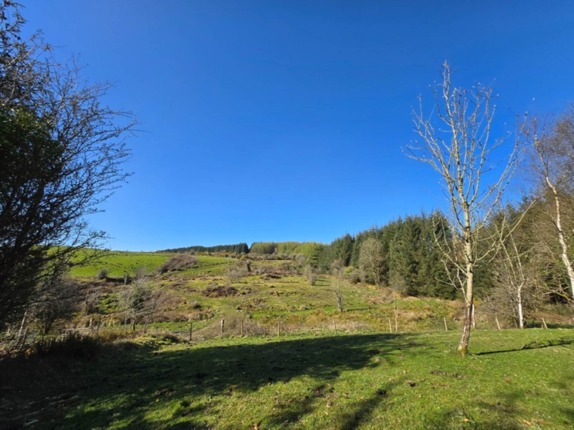 Blackthorn Farm, Tavneena, Charlestown, Co. Mayo F12 ET85