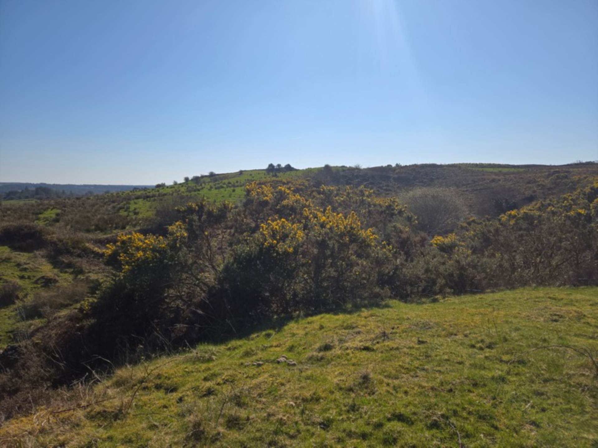Blackthorn Farm, Tavneena, Charlestown, Co. Mayo F12 ET85