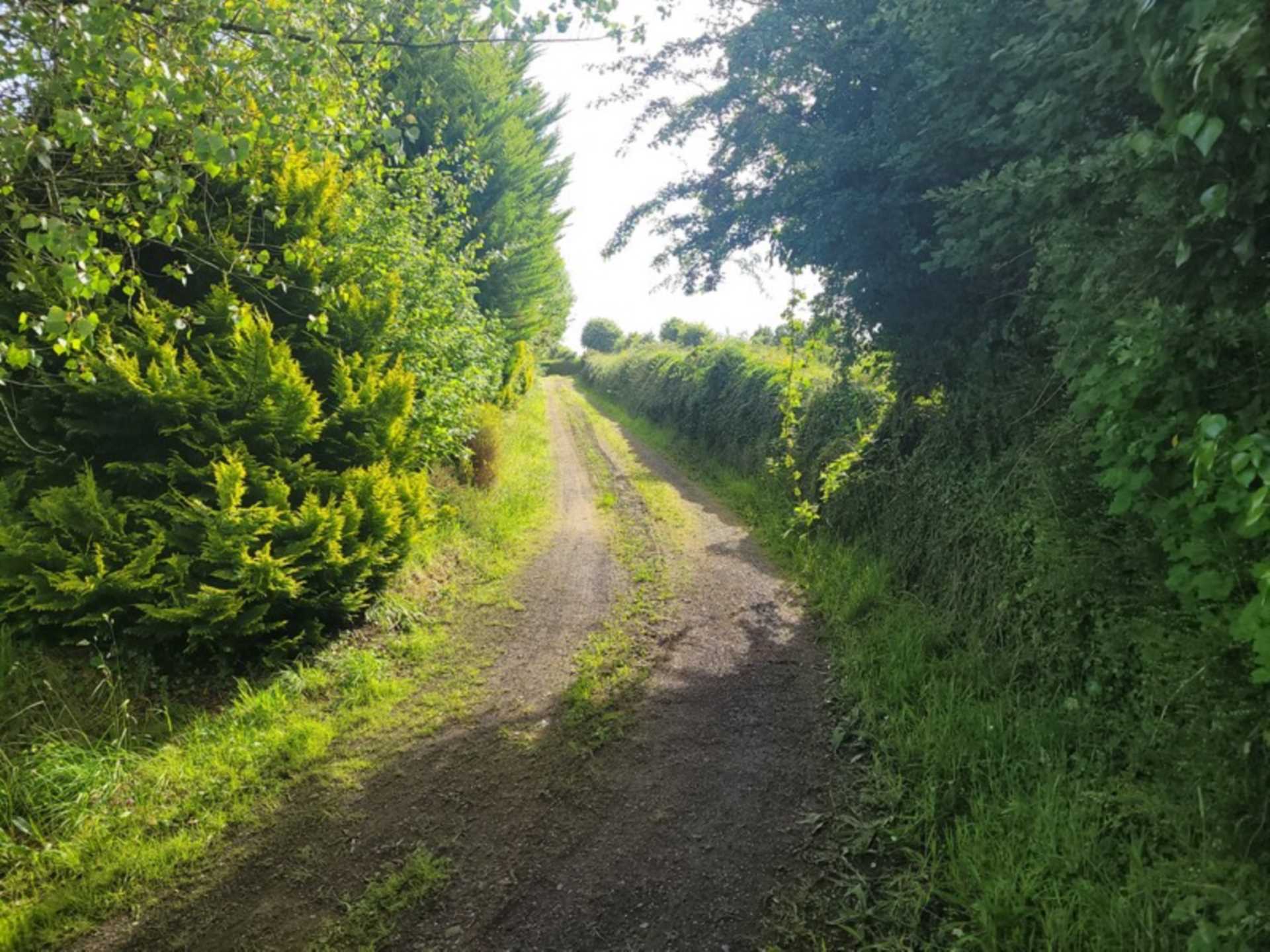 Foxborough, Ballinlough, Co. Roscommon  Foxborough, Ballinlough, Co. Roscommon