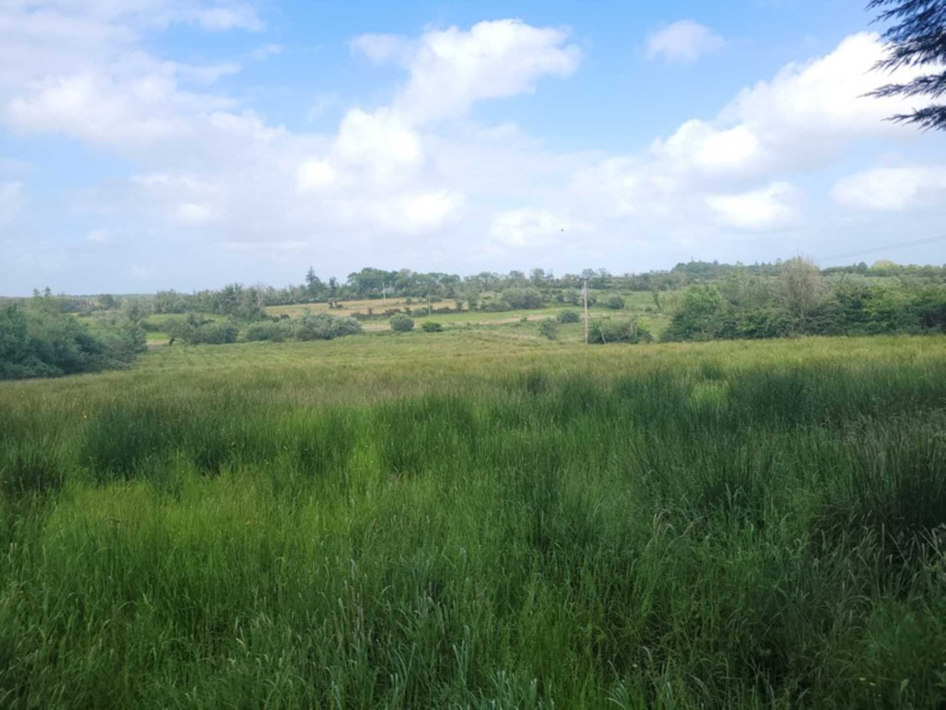 Foxborough, Ballinlough, Co. Roscommon  Foxborough, Ballinlough, Co. Roscommon